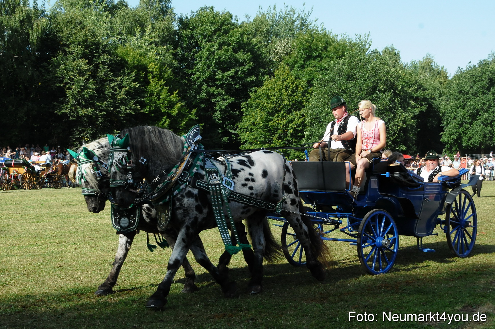 Pferde Fohlenschau 200812 0108