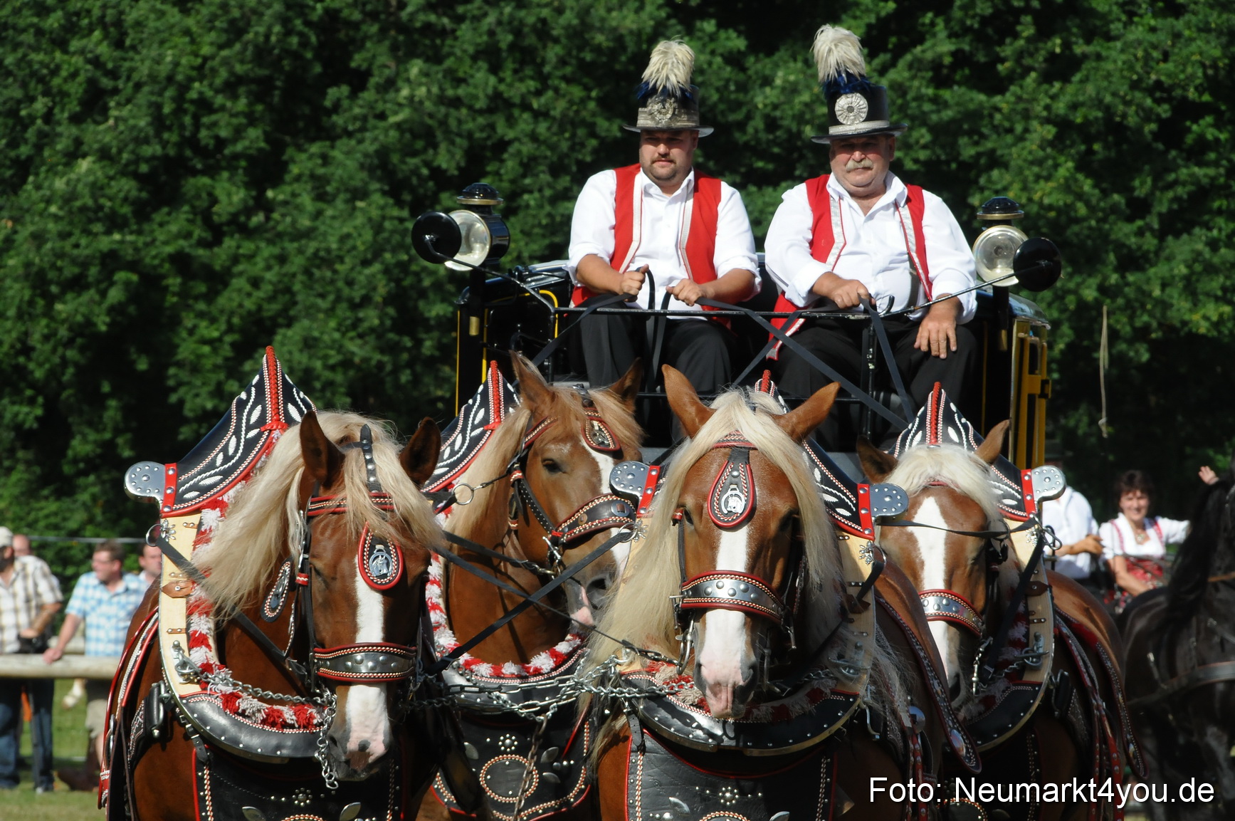 Pferde Fohlenschau 200812 0109