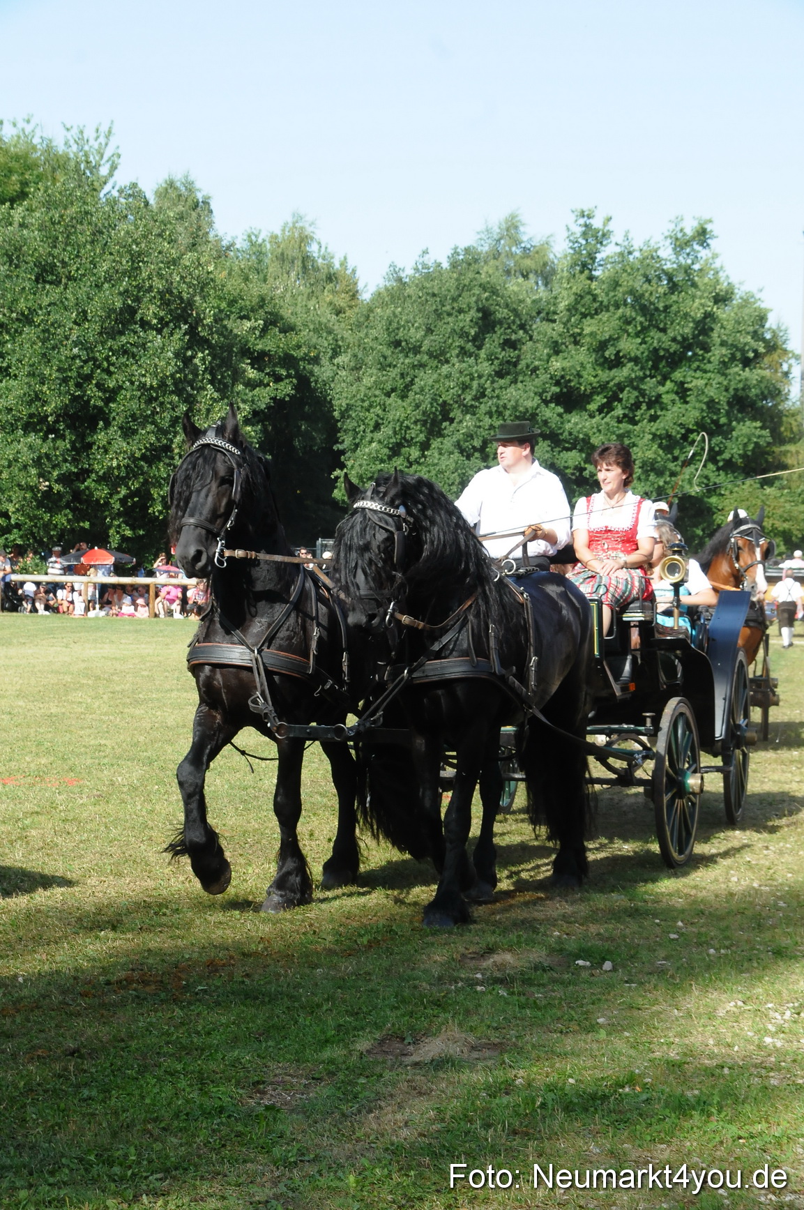 Pferde Fohlenschau 200812 0110