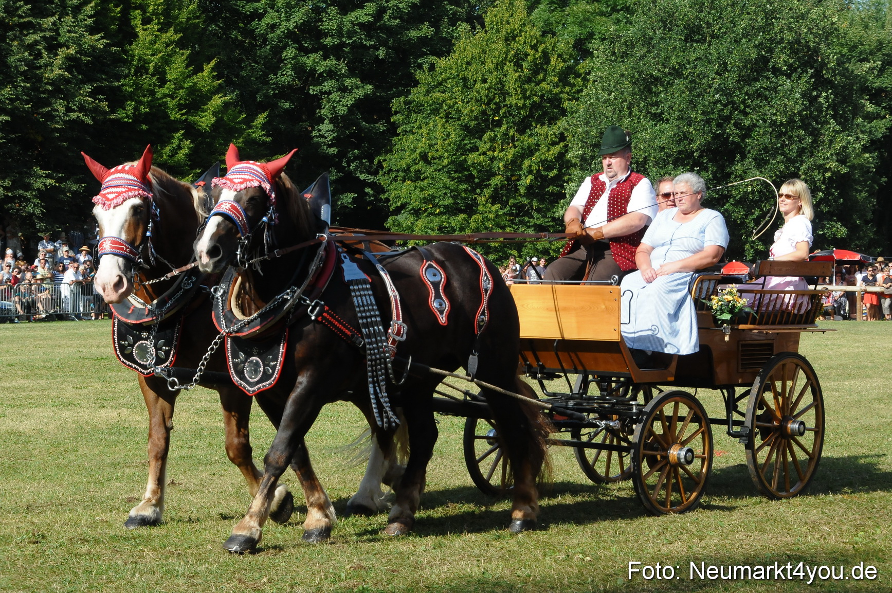 Pferde Fohlenschau 200812 0112