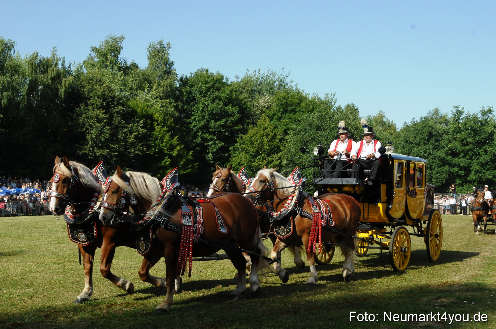 Pferde Fohlenschau 200812 0114