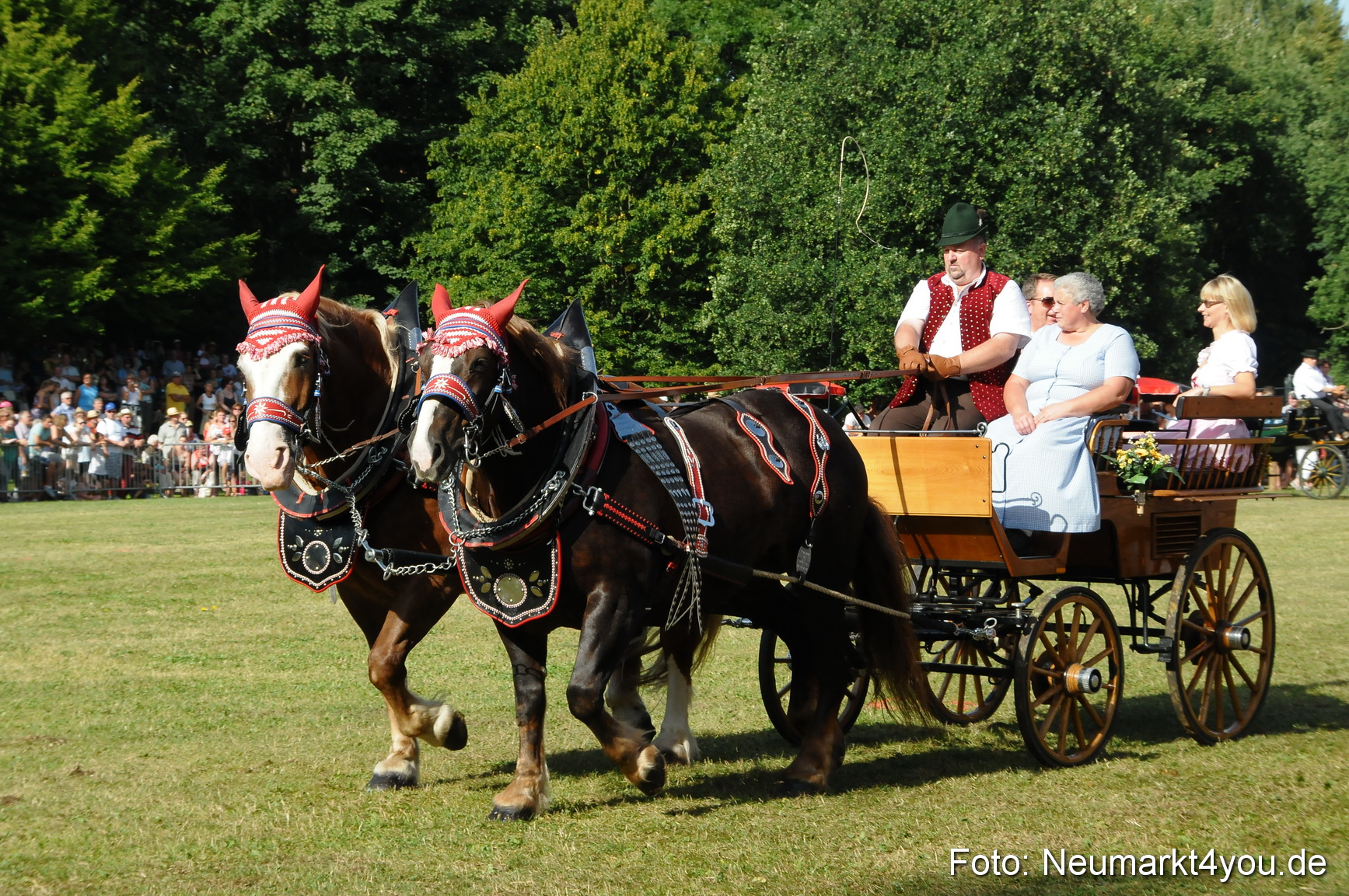 Pferde Fohlenschau 200812 0115