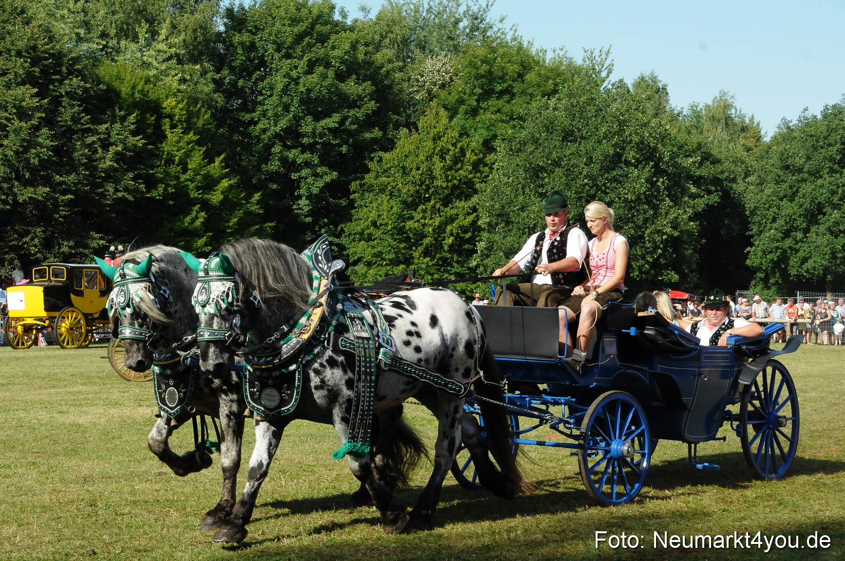 Pferde Fohlenschau 200812 0116