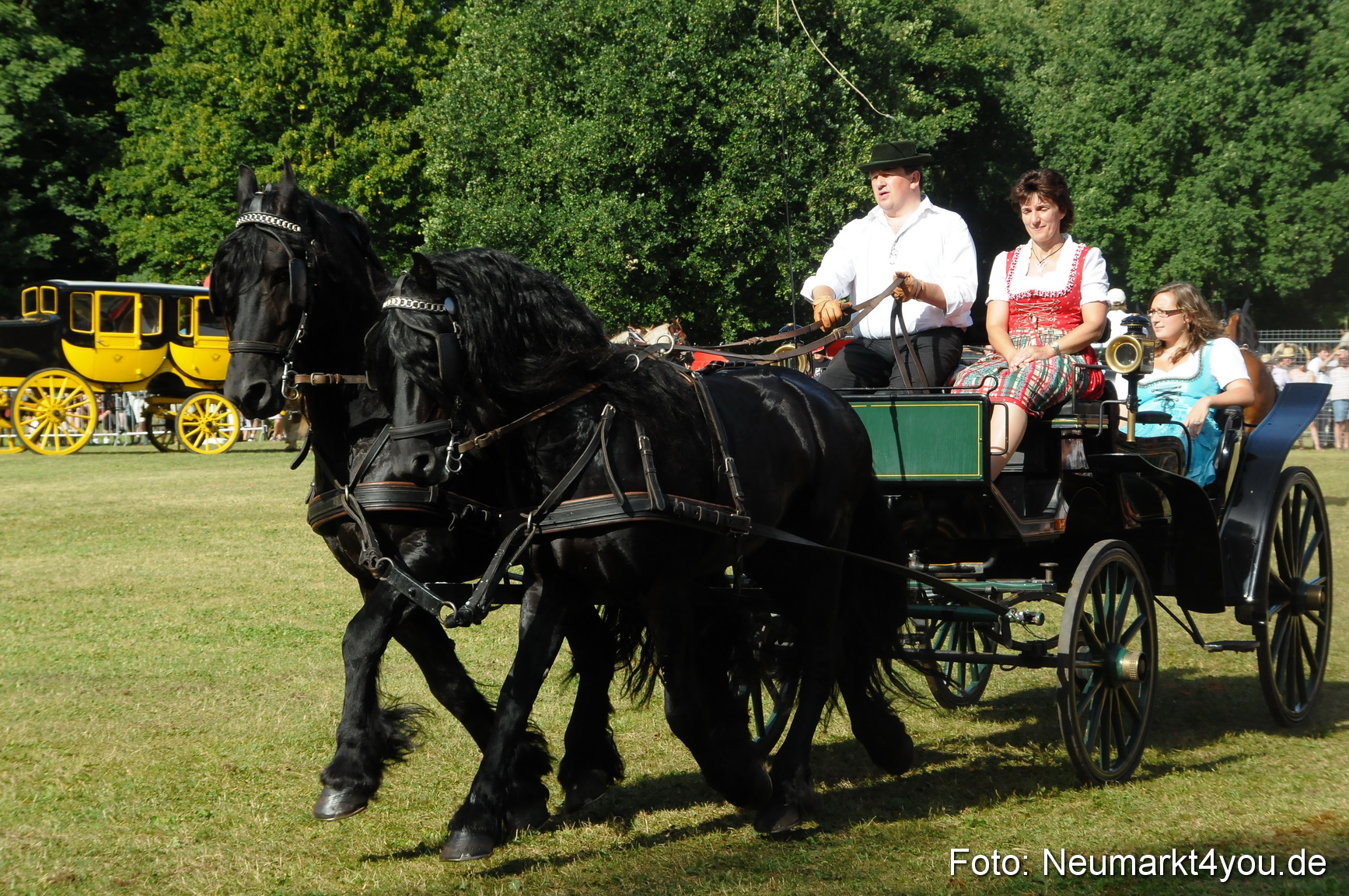 Pferde Fohlenschau 200812 0117