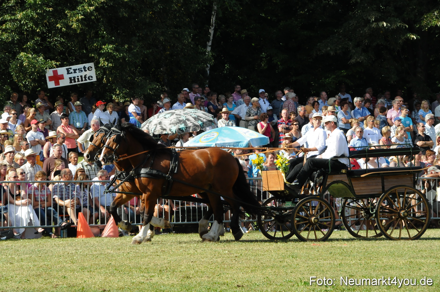 Pferde Fohlenschau 200812 0118
