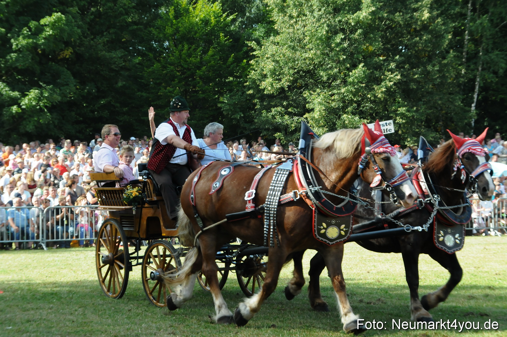Pferde Fohlenschau 200812 0122