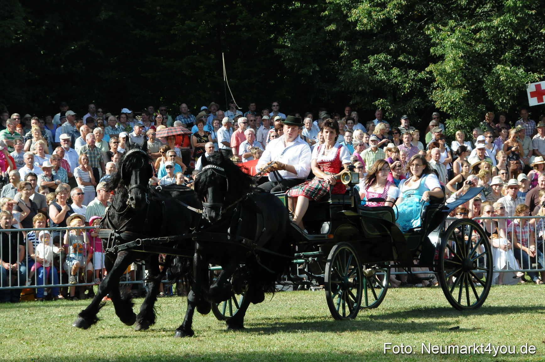 Pferde Fohlenschau 200812 0124