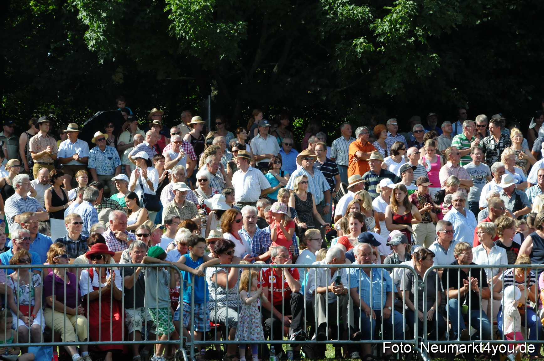 Pferde Fohlenschau 200812 0129