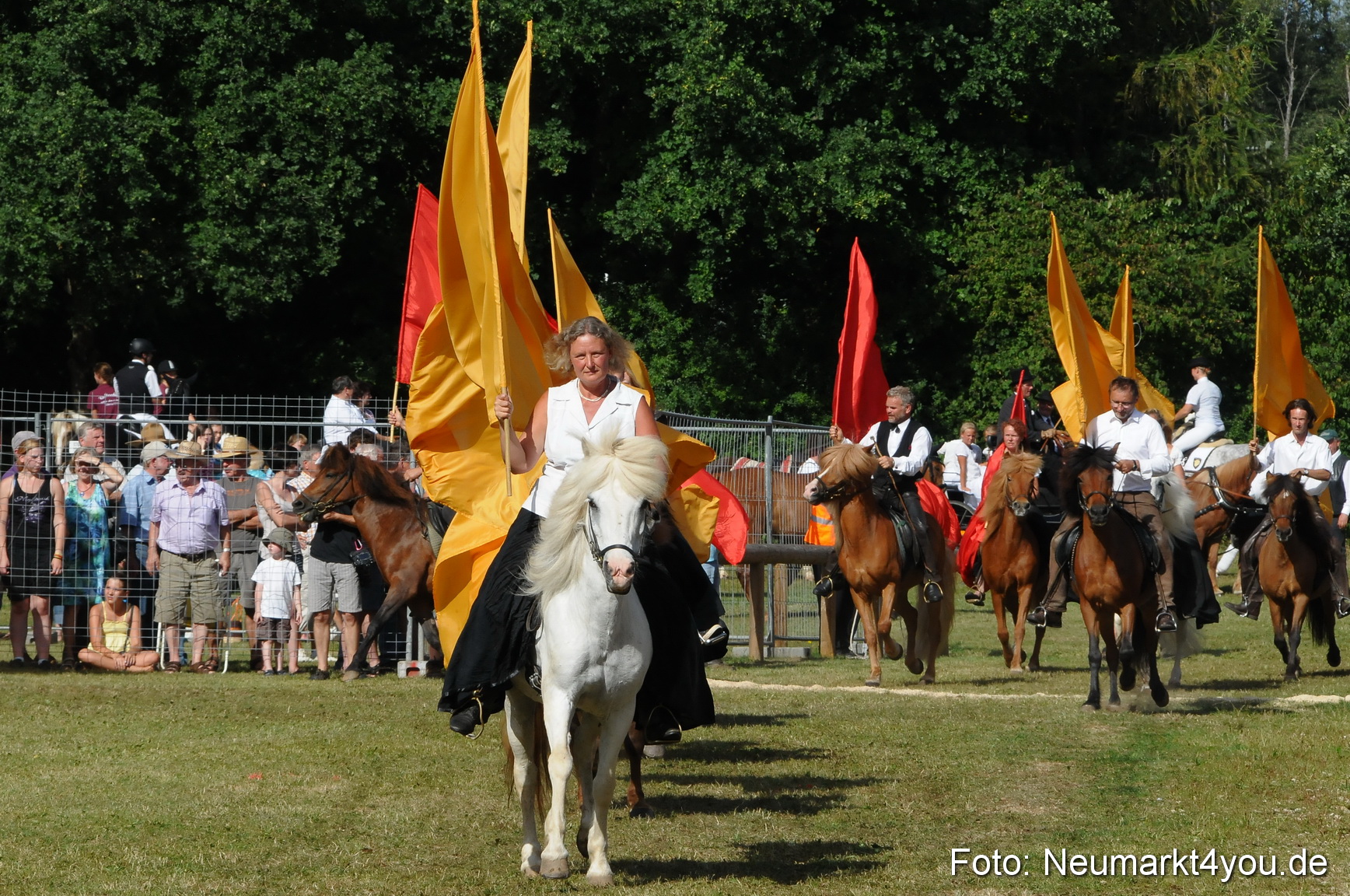 Pferde Fohlenschau 200812 0131