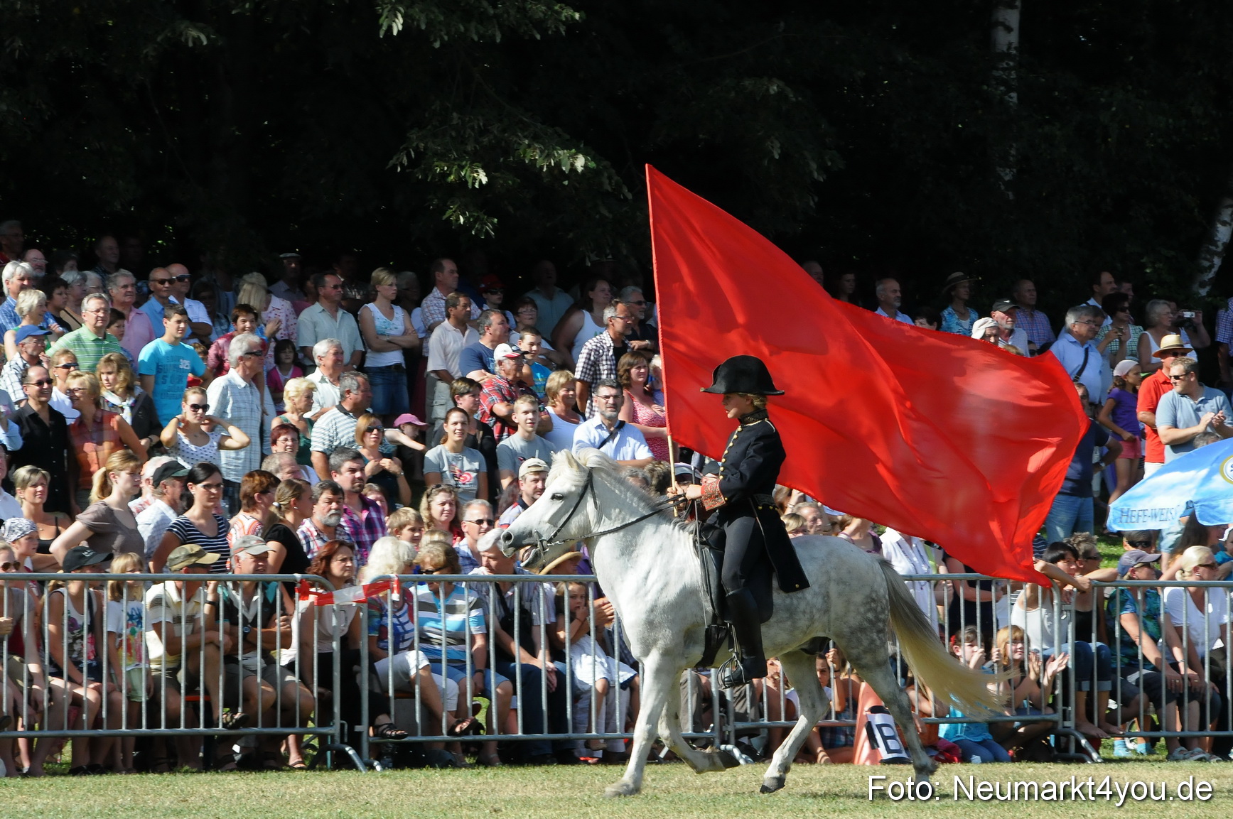 Pferde Fohlenschau 200812 0132