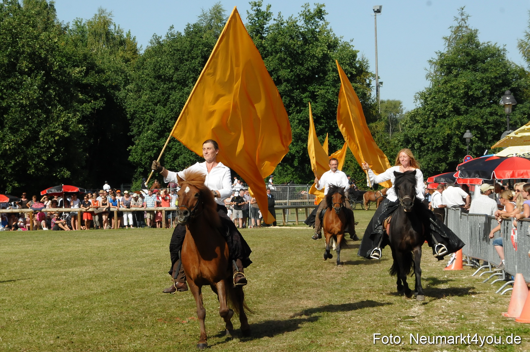 Pferde Fohlenschau 200812 0133
