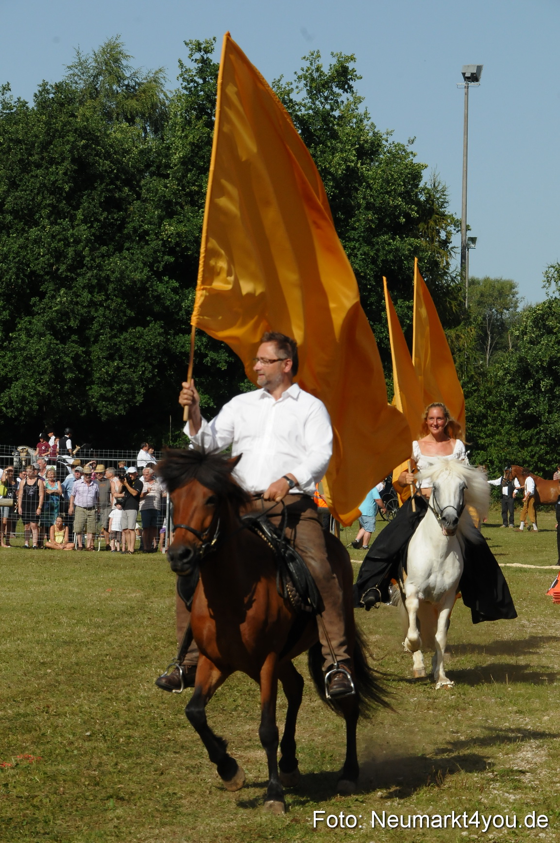 Pferde Fohlenschau 200812 0134