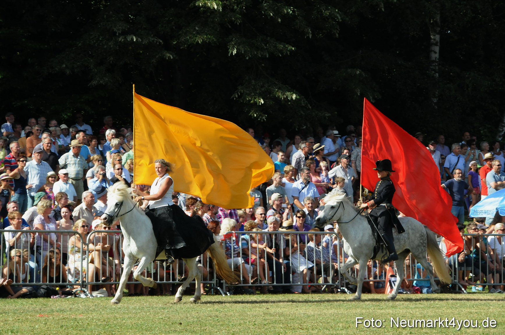 Pferde Fohlenschau 200812 0135