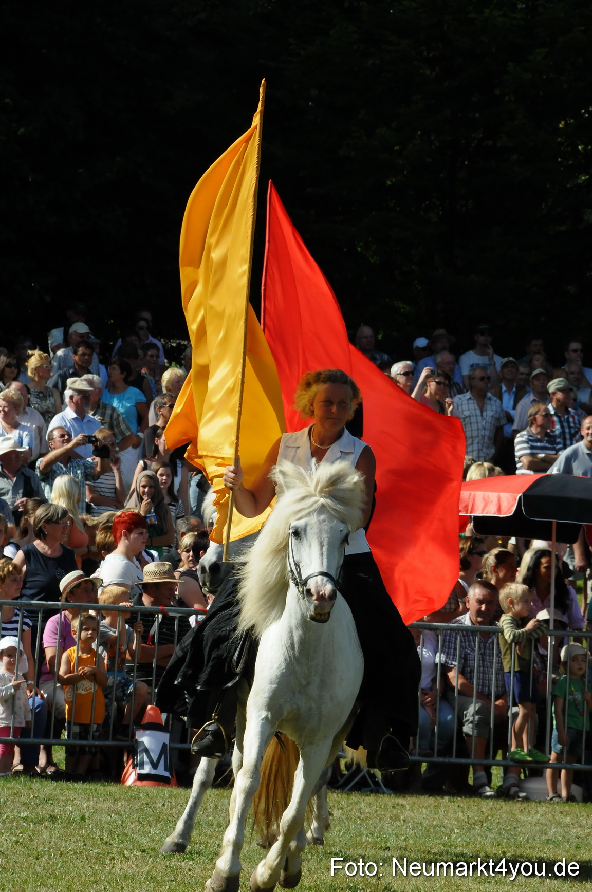 Pferde Fohlenschau 200812 0136