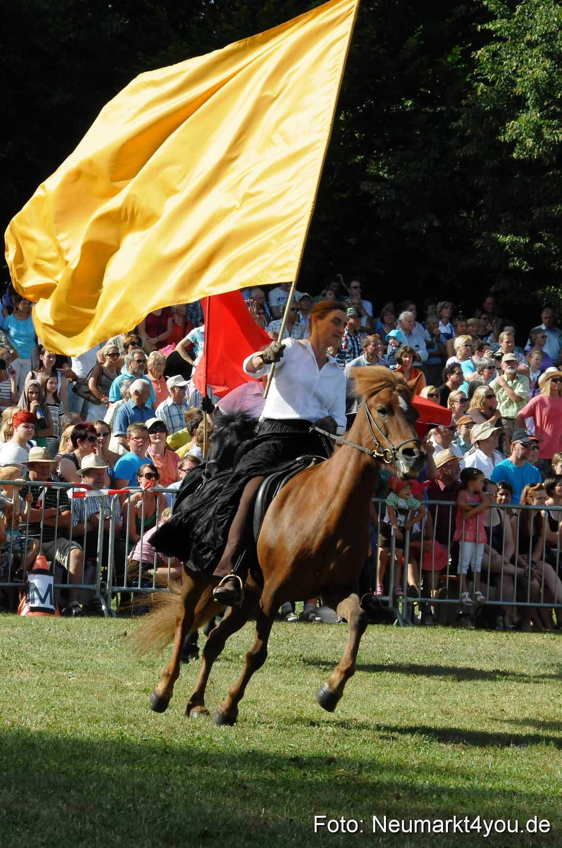 Pferde Fohlenschau 200812 0137