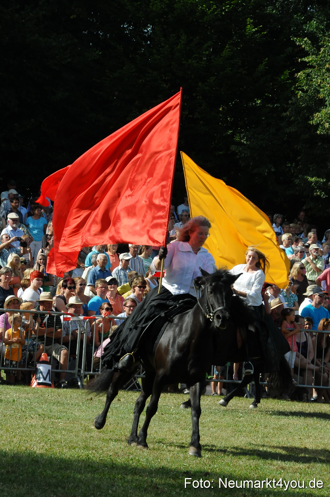 Pferde Fohlenschau 200812 0138
