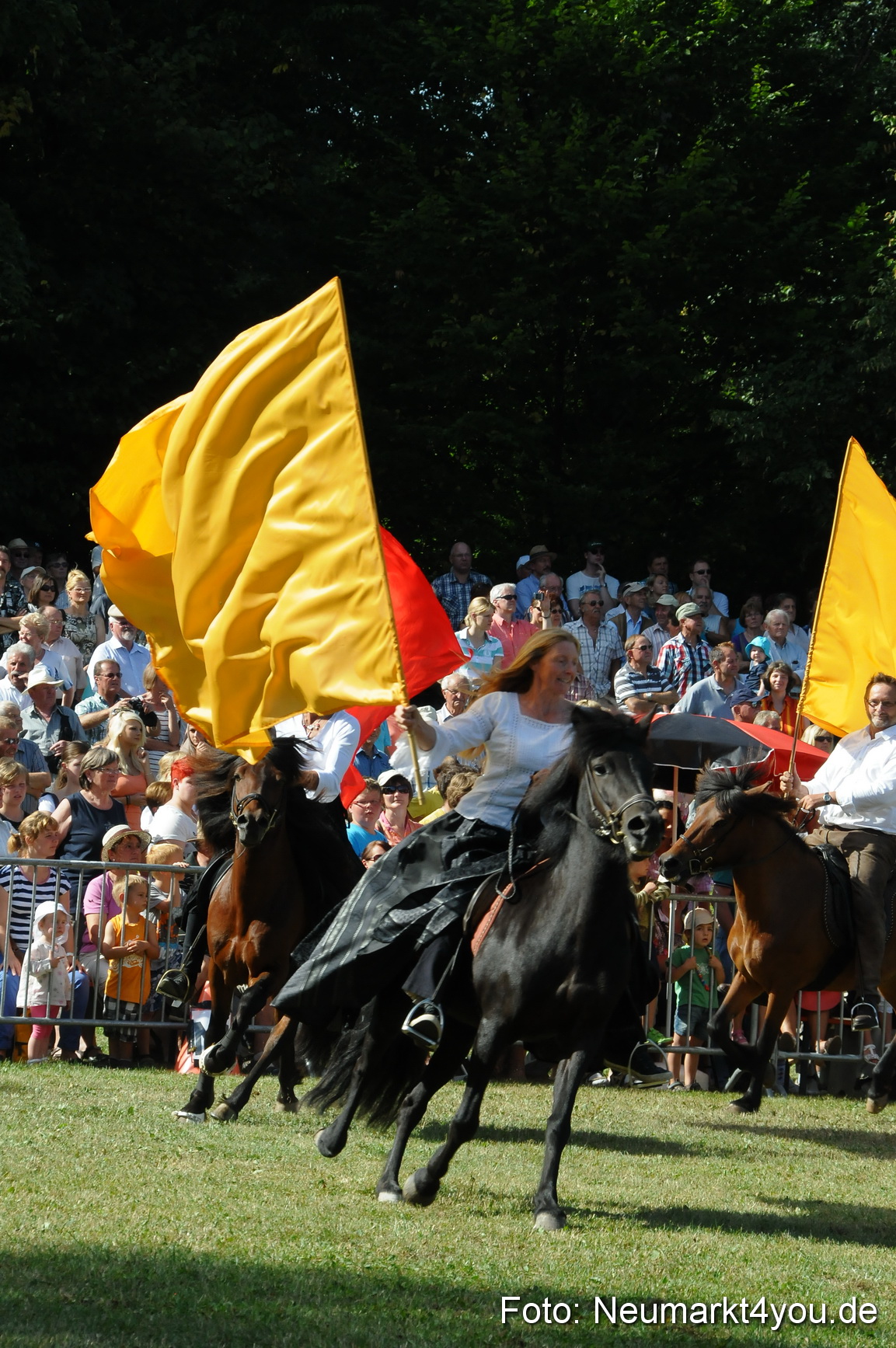 Pferde Fohlenschau 200812 0139