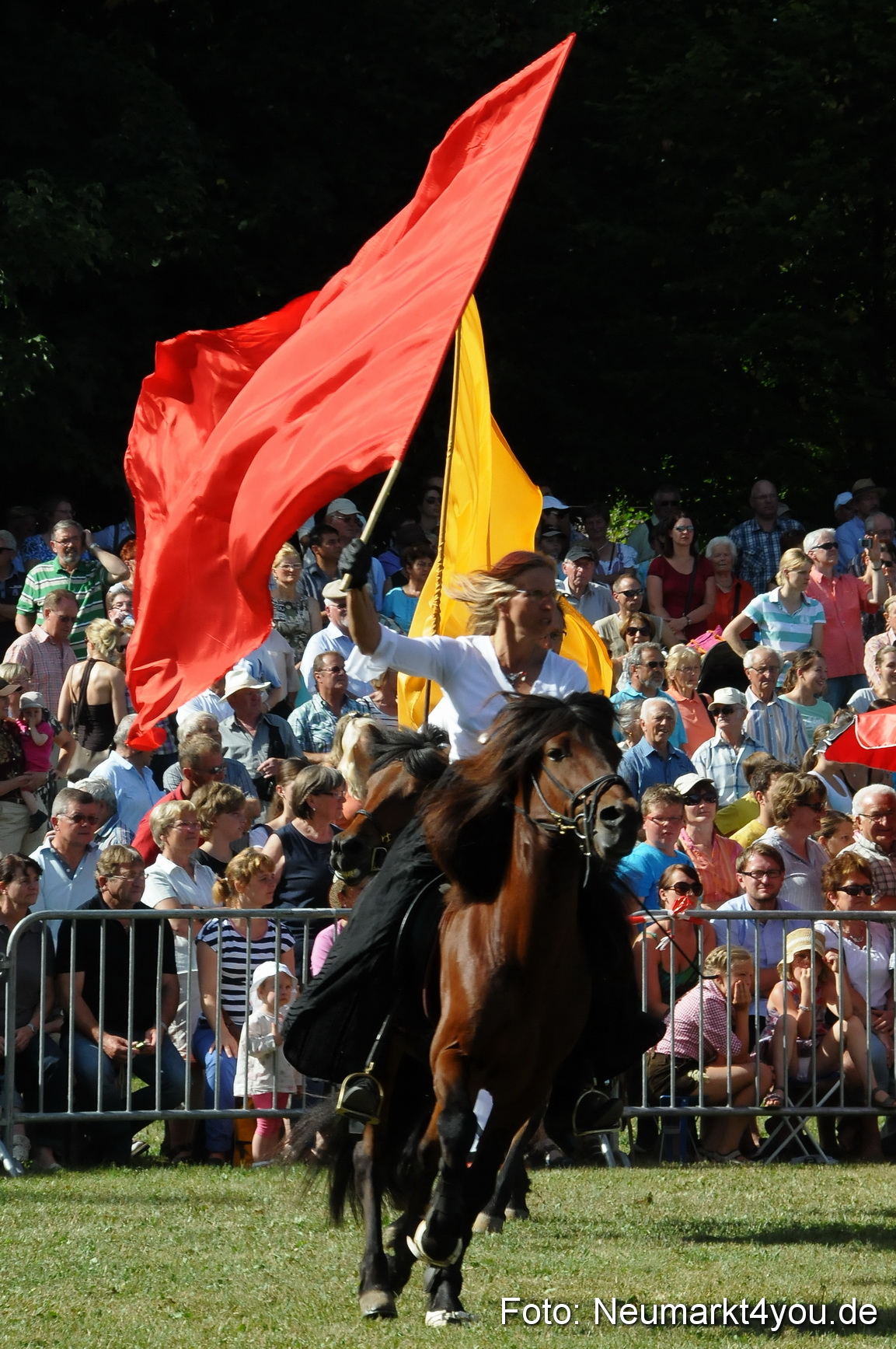 Pferde Fohlenschau 200812 0140