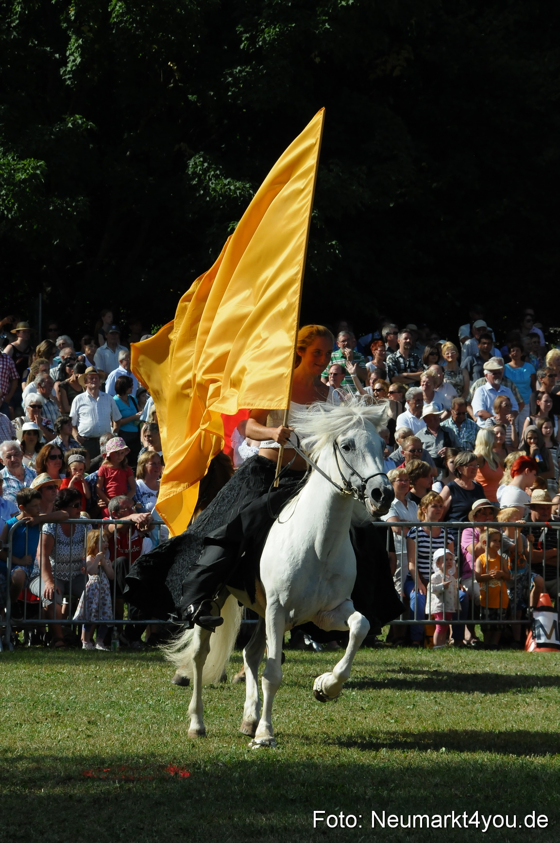 Pferde Fohlenschau 200812 0141