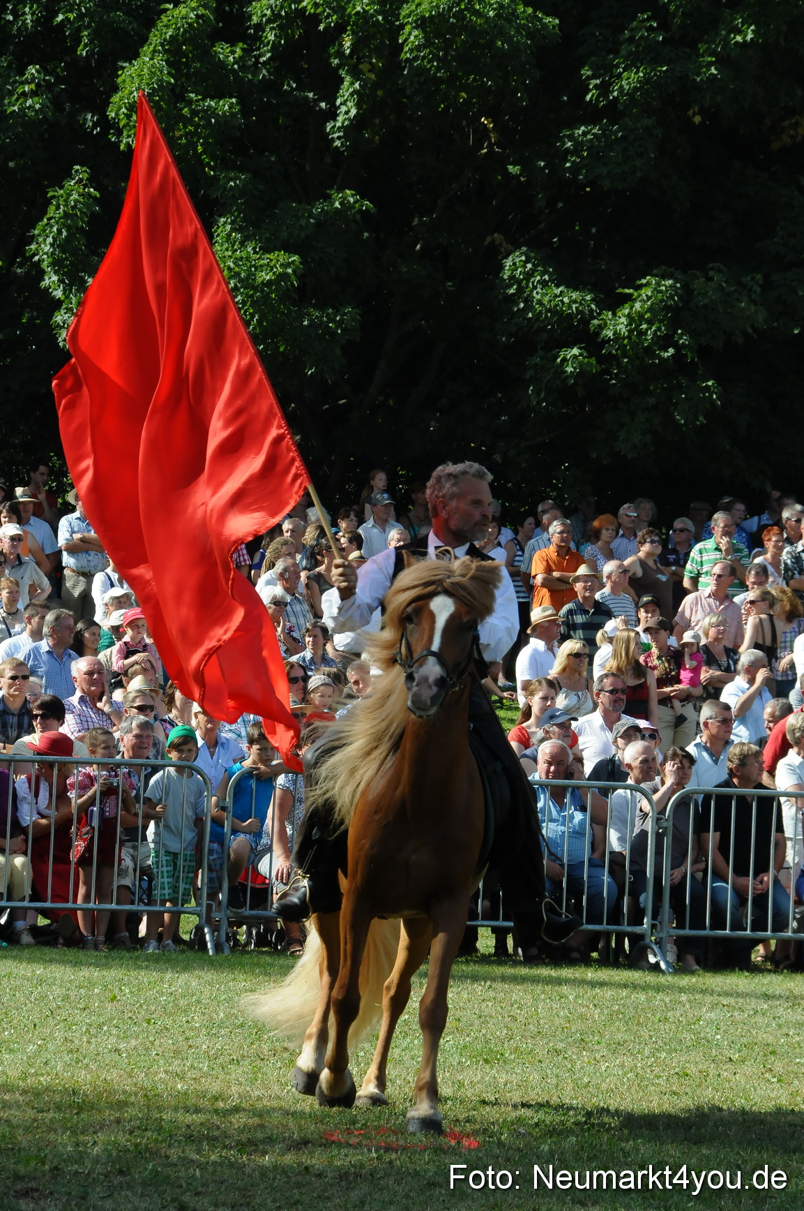 Pferde Fohlenschau 200812 0142