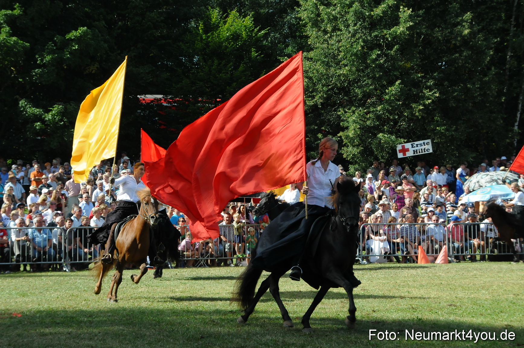 Pferde Fohlenschau 200812 0143