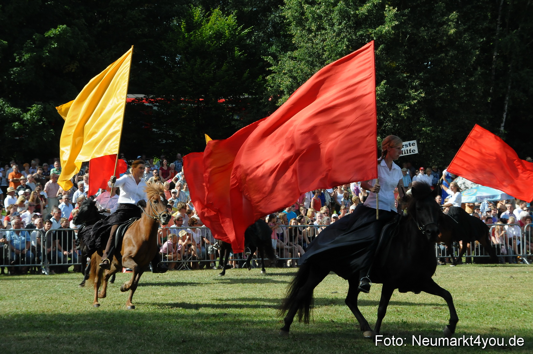 Pferde Fohlenschau 200812 0144