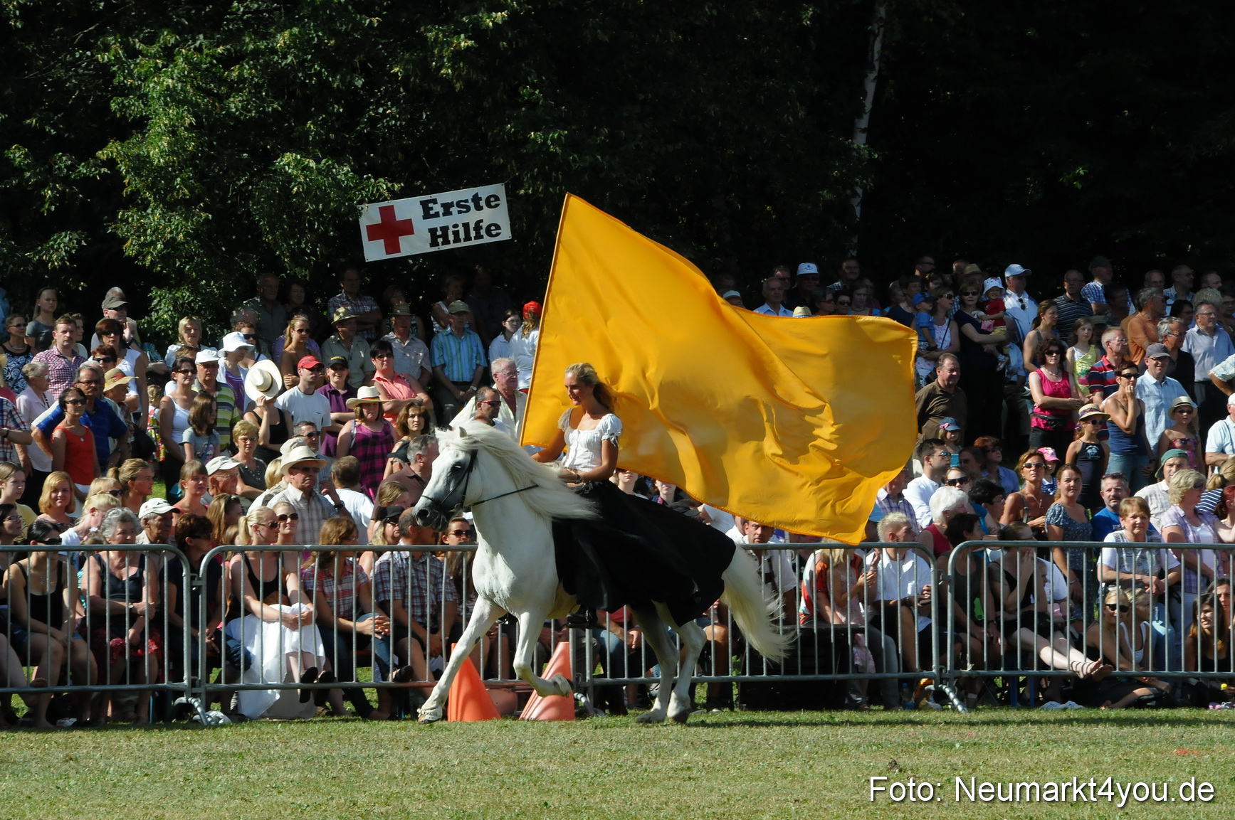 Pferde Fohlenschau 200812 0145