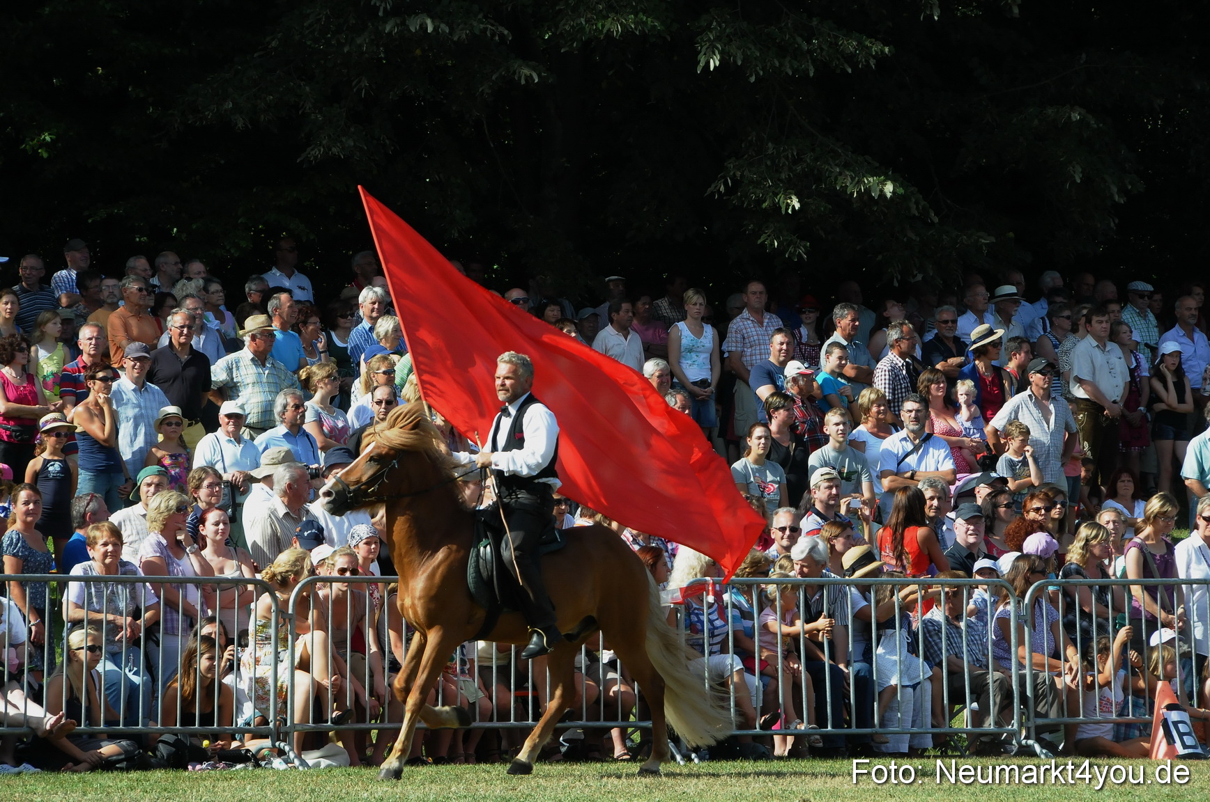 Pferde Fohlenschau 200812 0146