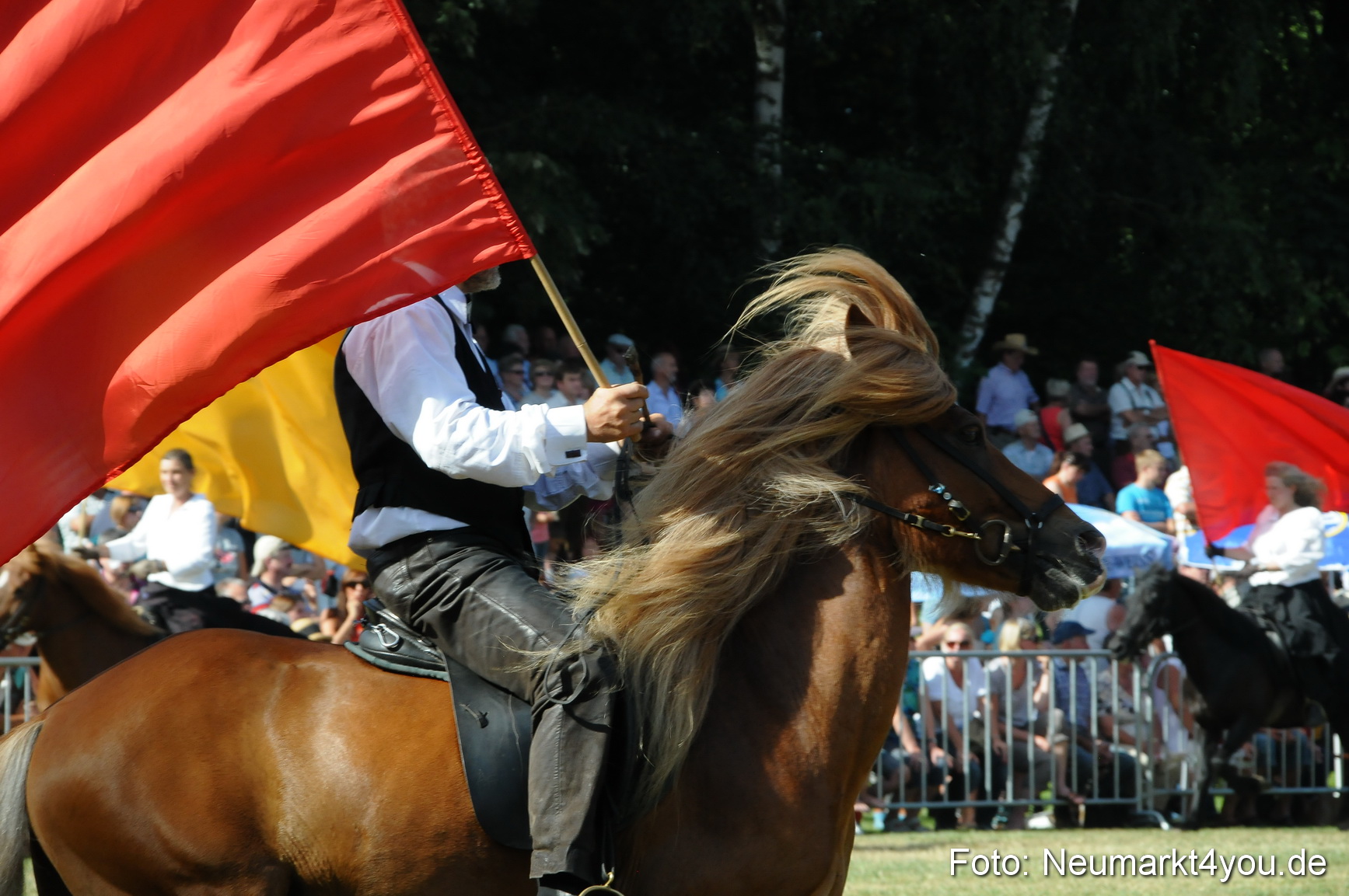 Pferde Fohlenschau 200812 0147