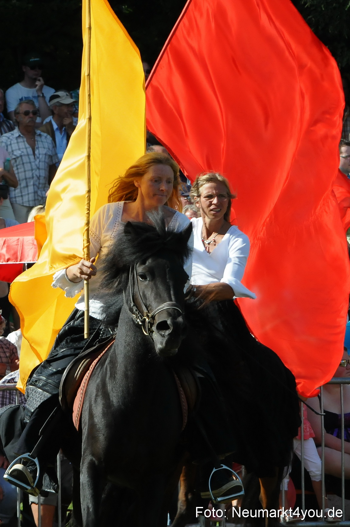 Pferde Fohlenschau 200812 0148