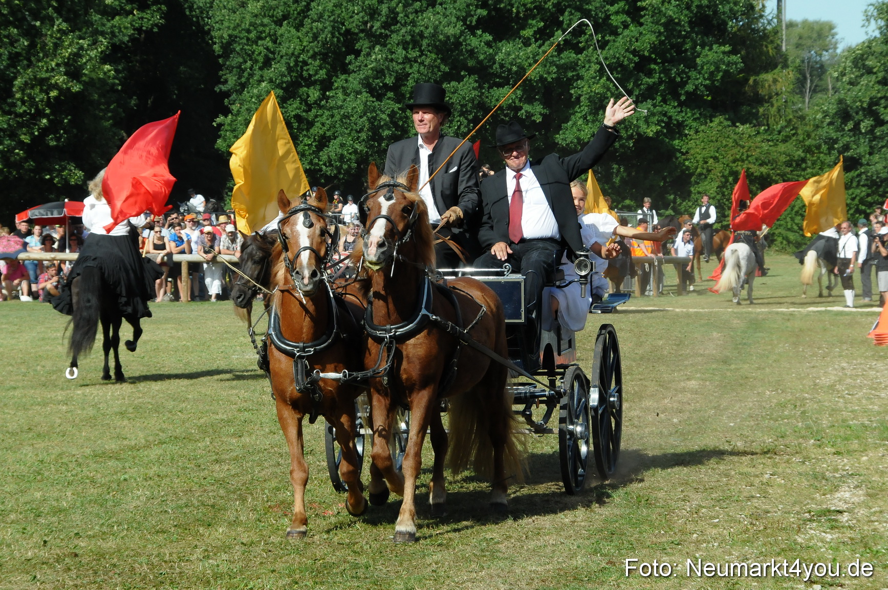 Pferde Fohlenschau 200812 0149