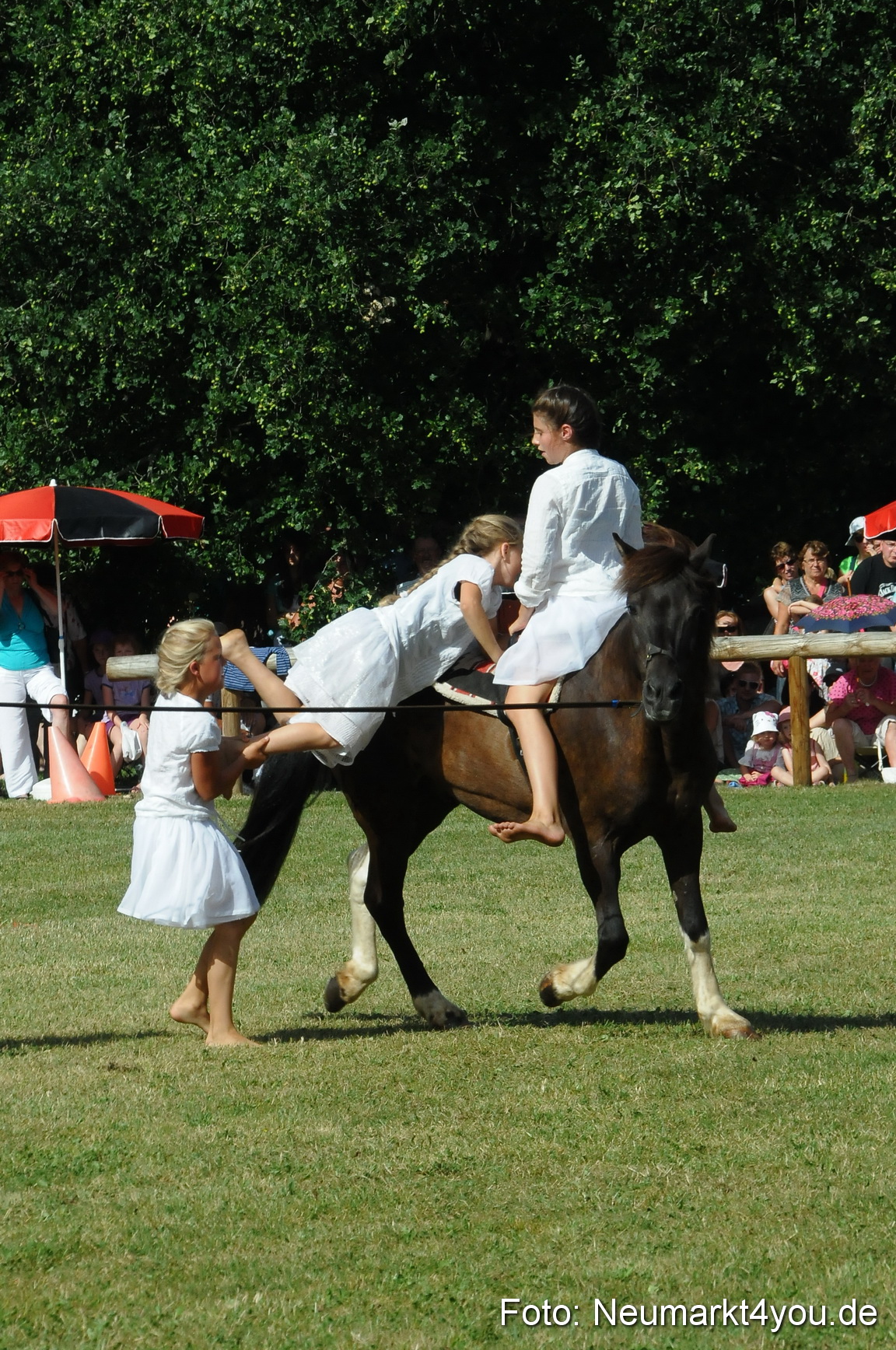 Pferde Fohlenschau 200812 0150