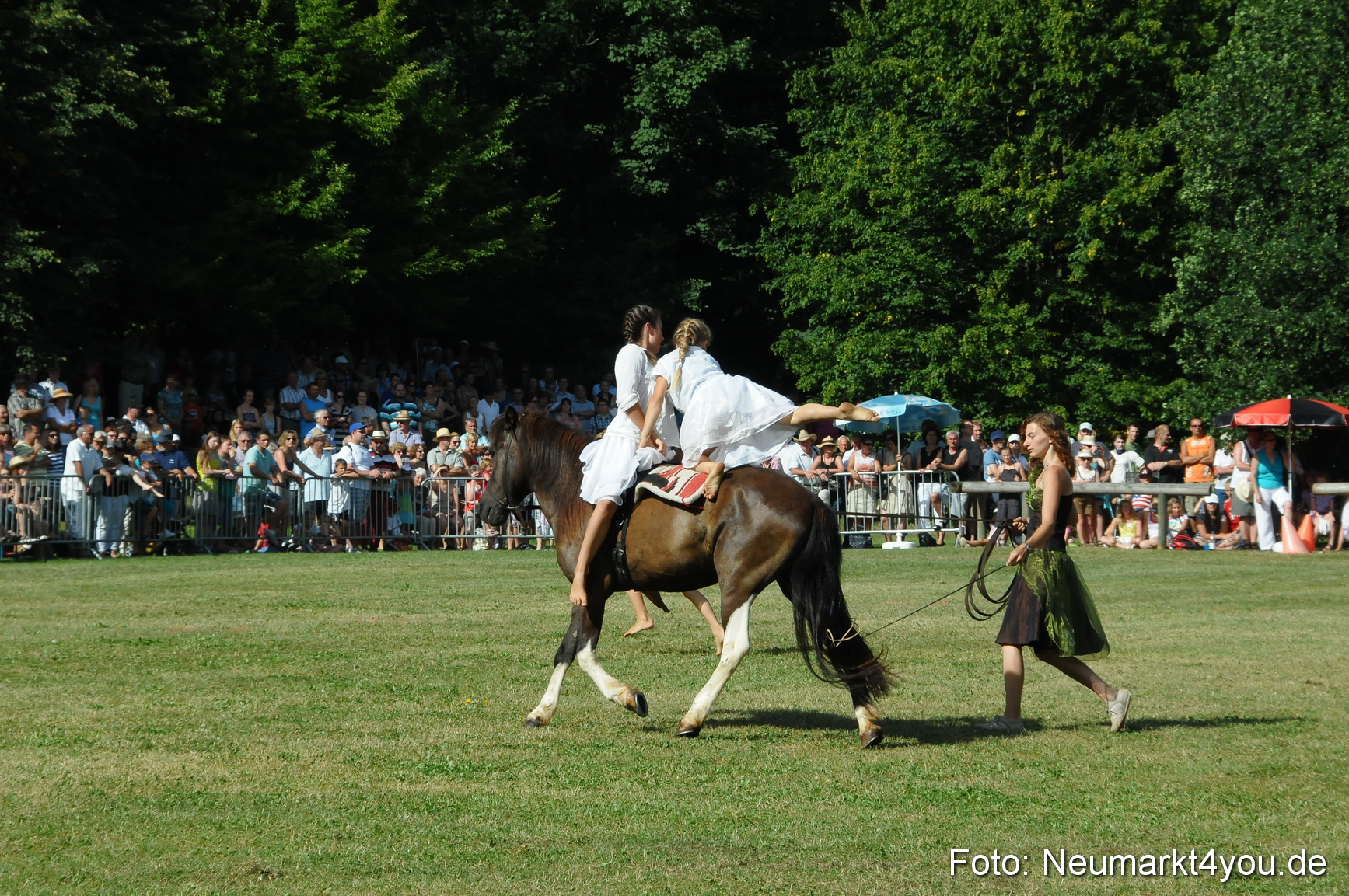 Pferde Fohlenschau 200812 0151