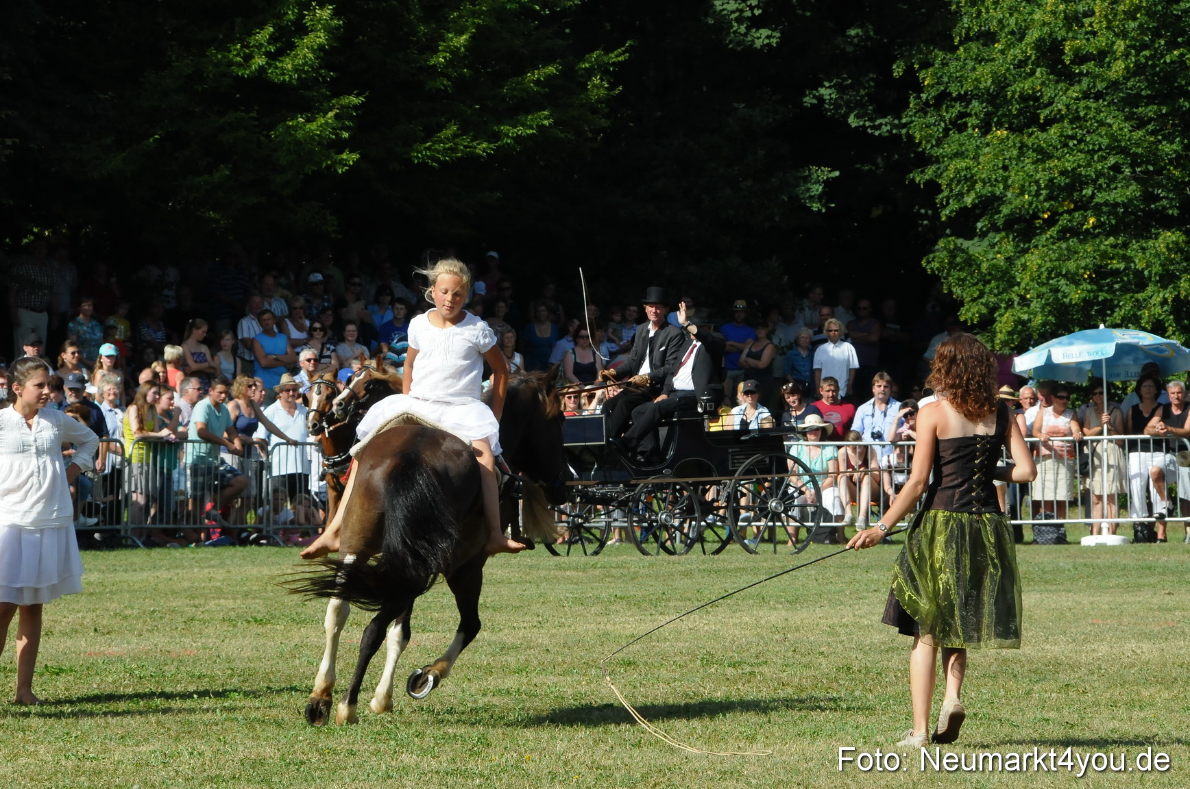 Pferde Fohlenschau 200812 0154