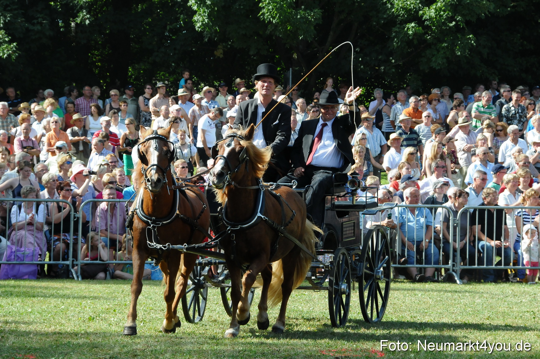 Pferde Fohlenschau 200812 0155