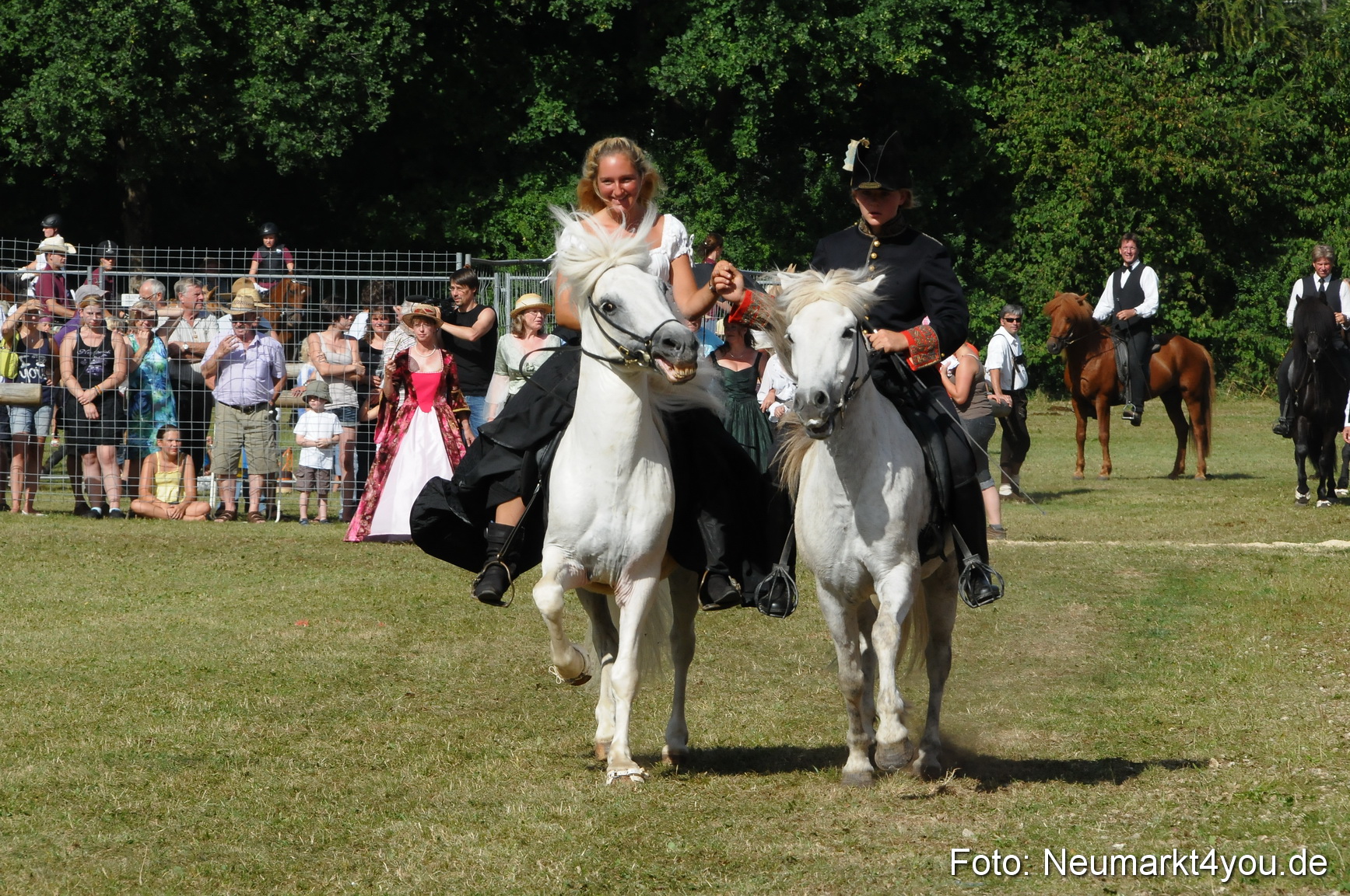 Pferde Fohlenschau 200812 0156