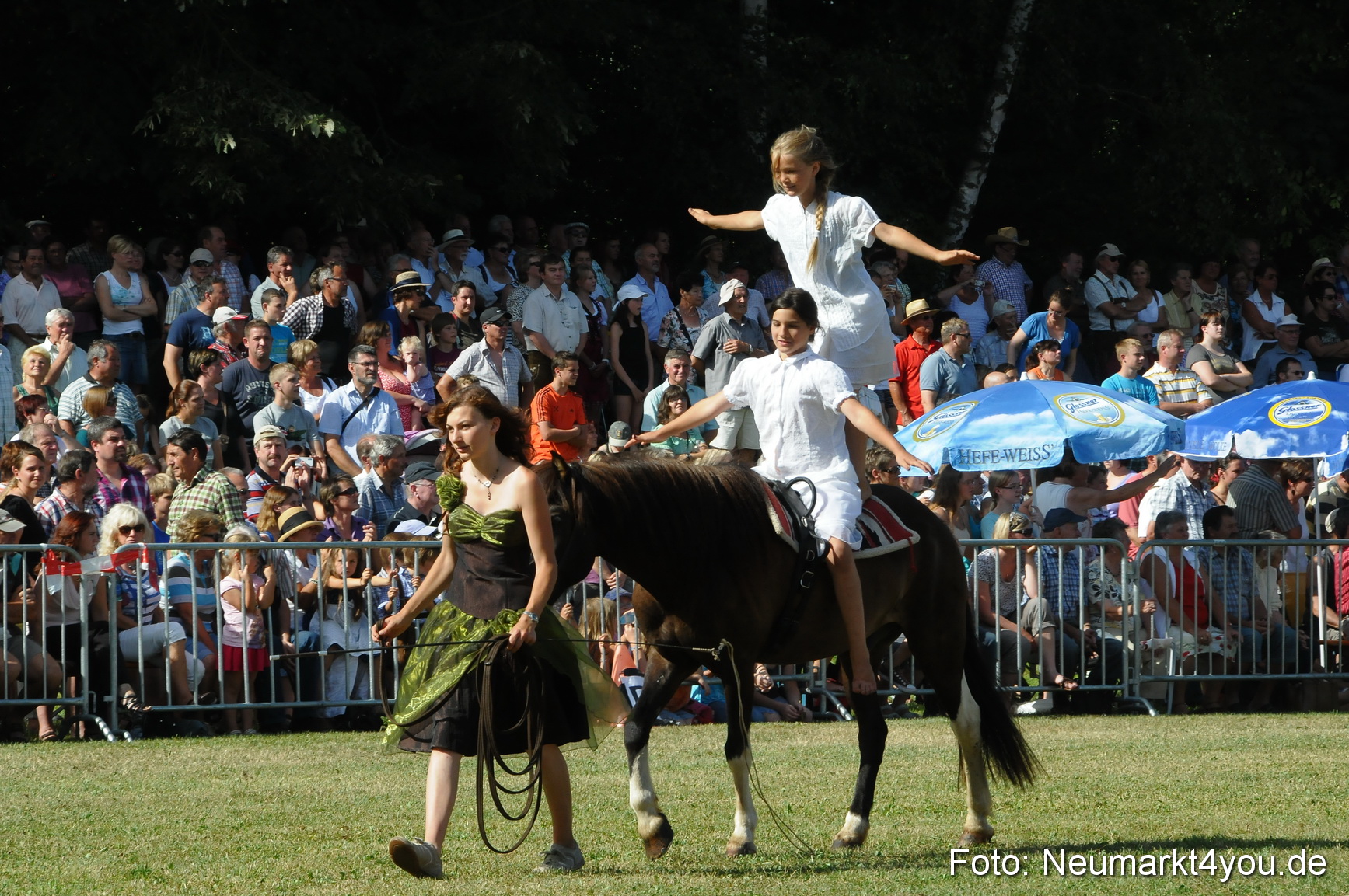 Pferde Fohlenschau 200812 0157