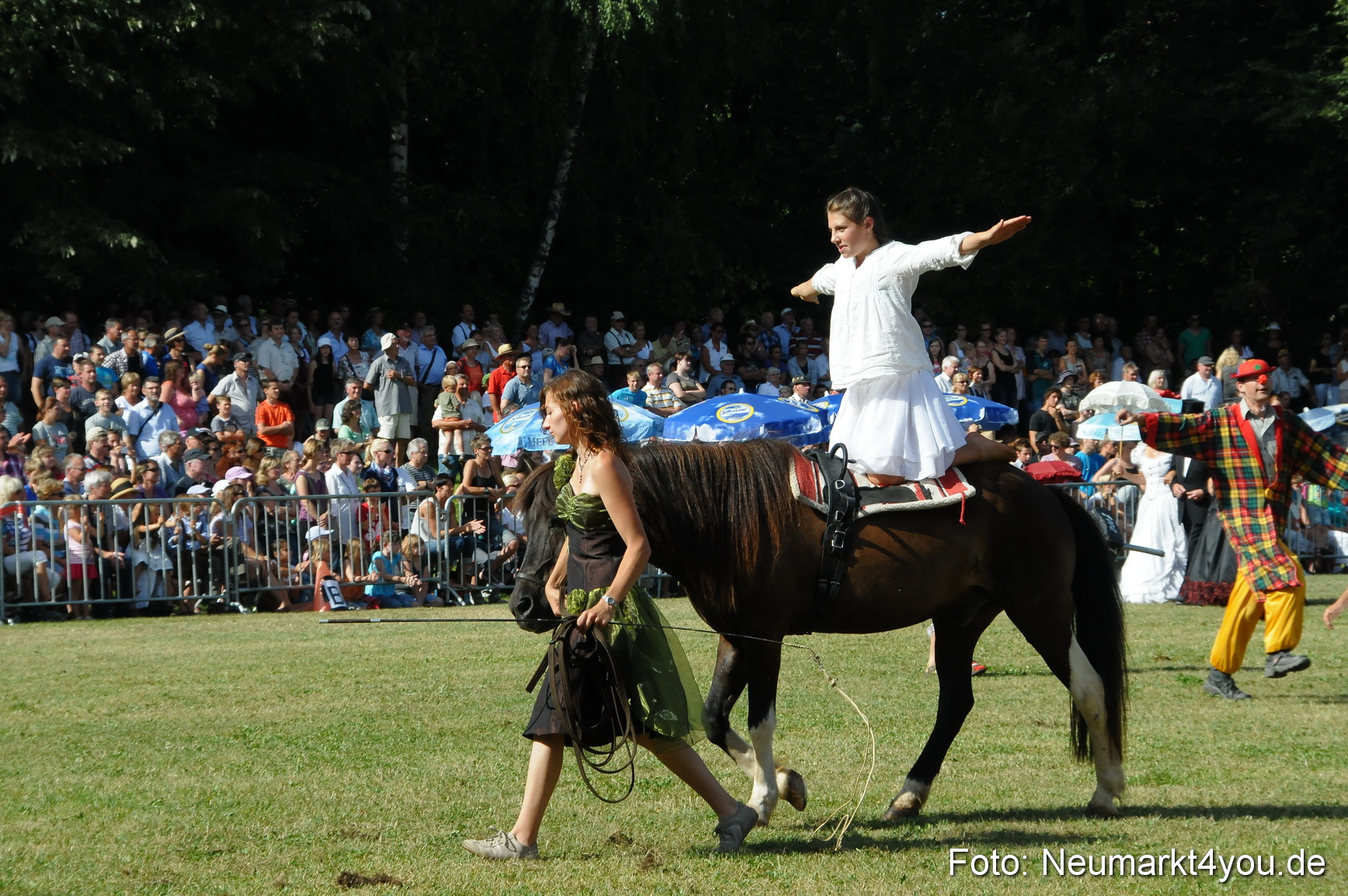 Pferde Fohlenschau 200812 0158