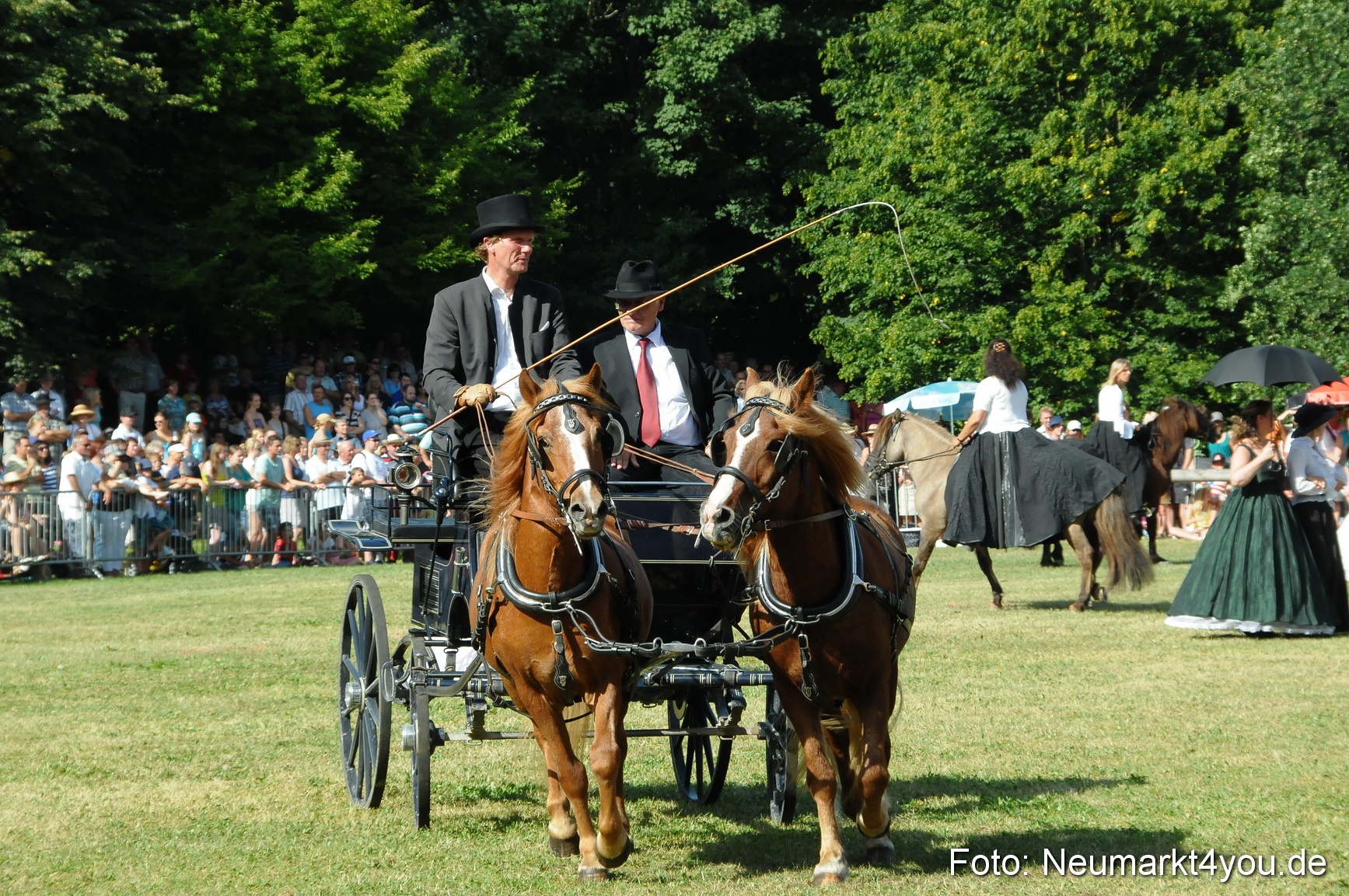 Pferde Fohlenschau 200812 0160