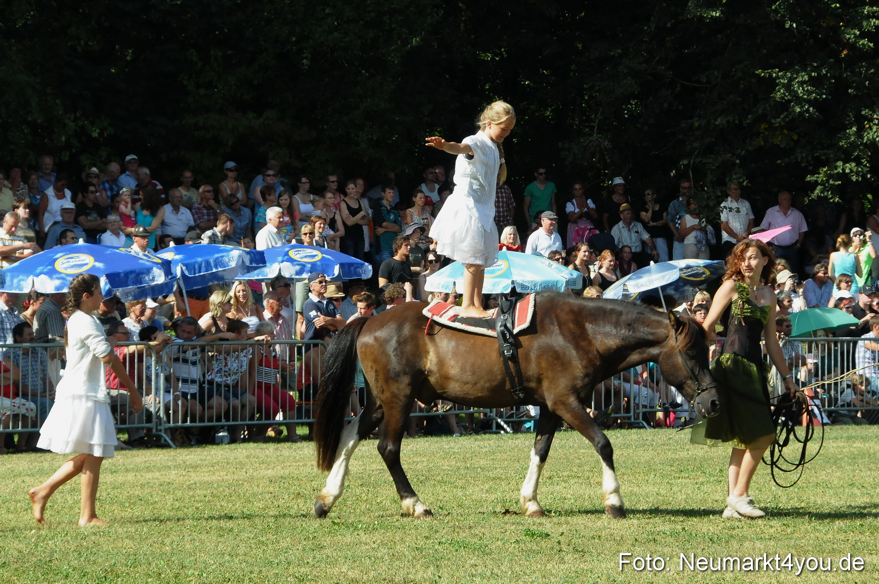 Pferde Fohlenschau 200812 0161