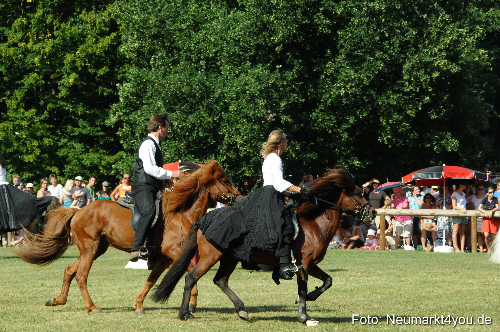 Pferde Fohlenschau 200812 0162