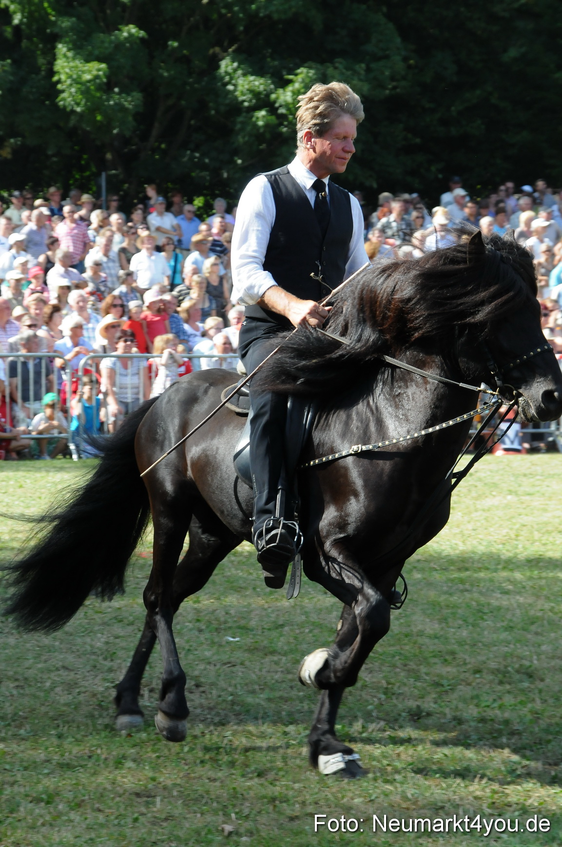 Pferde Fohlenschau 200812 0163
