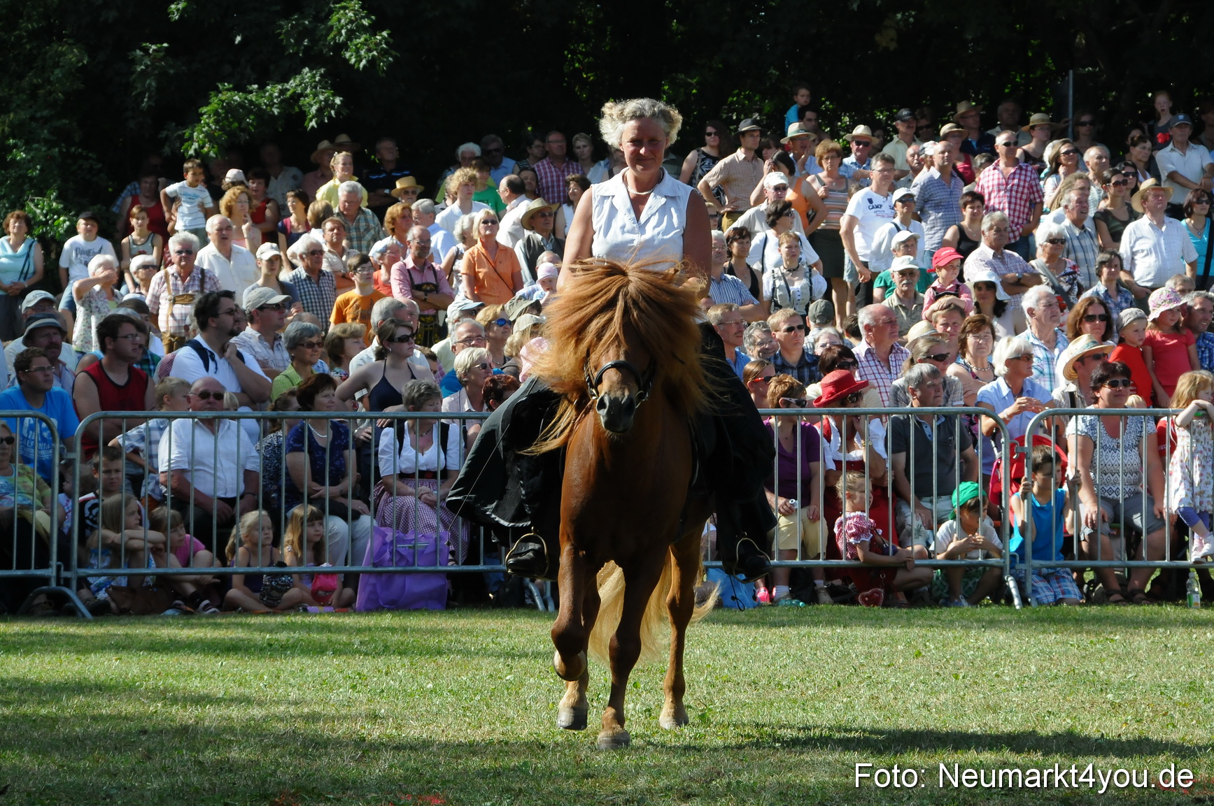 Pferde Fohlenschau 200812 0164