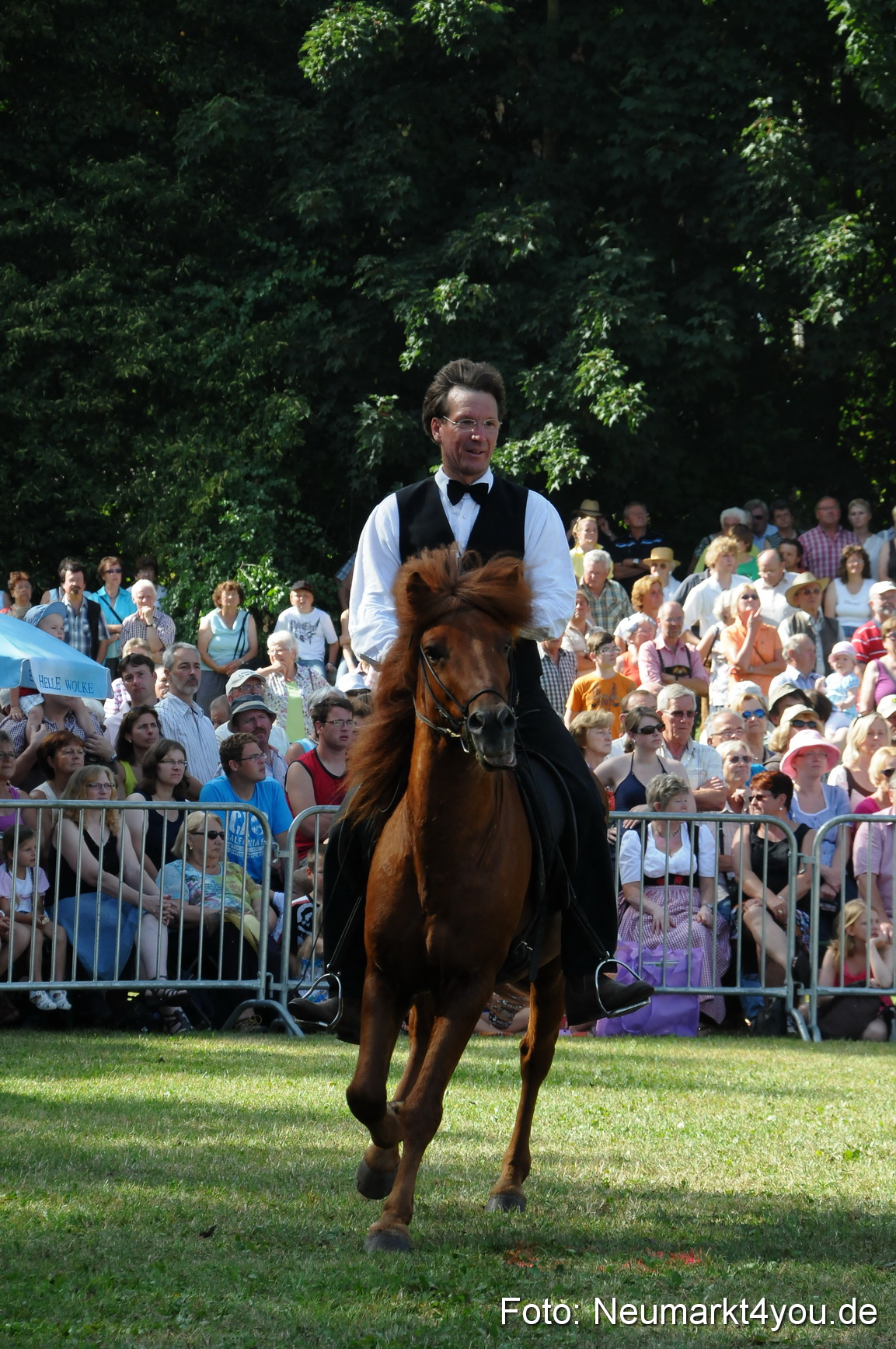 Pferde Fohlenschau 200812 0165