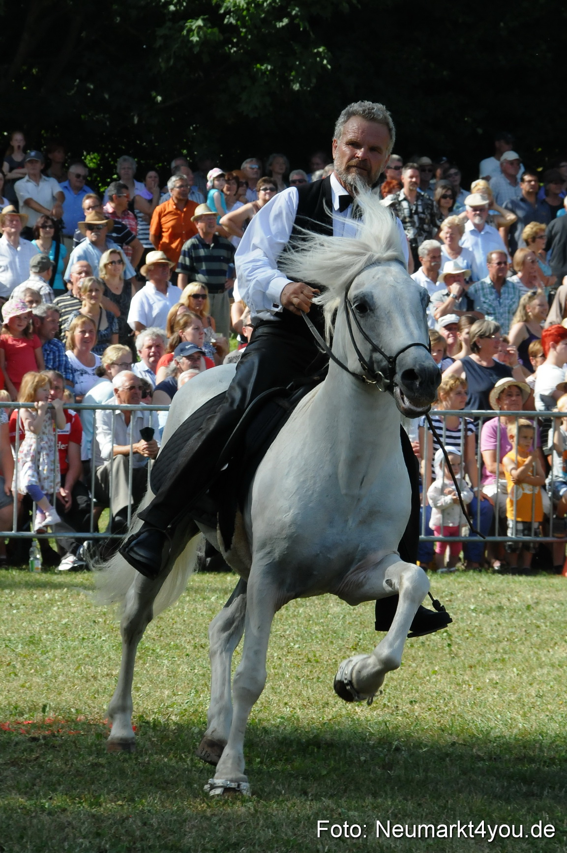 Pferde Fohlenschau 200812 0166