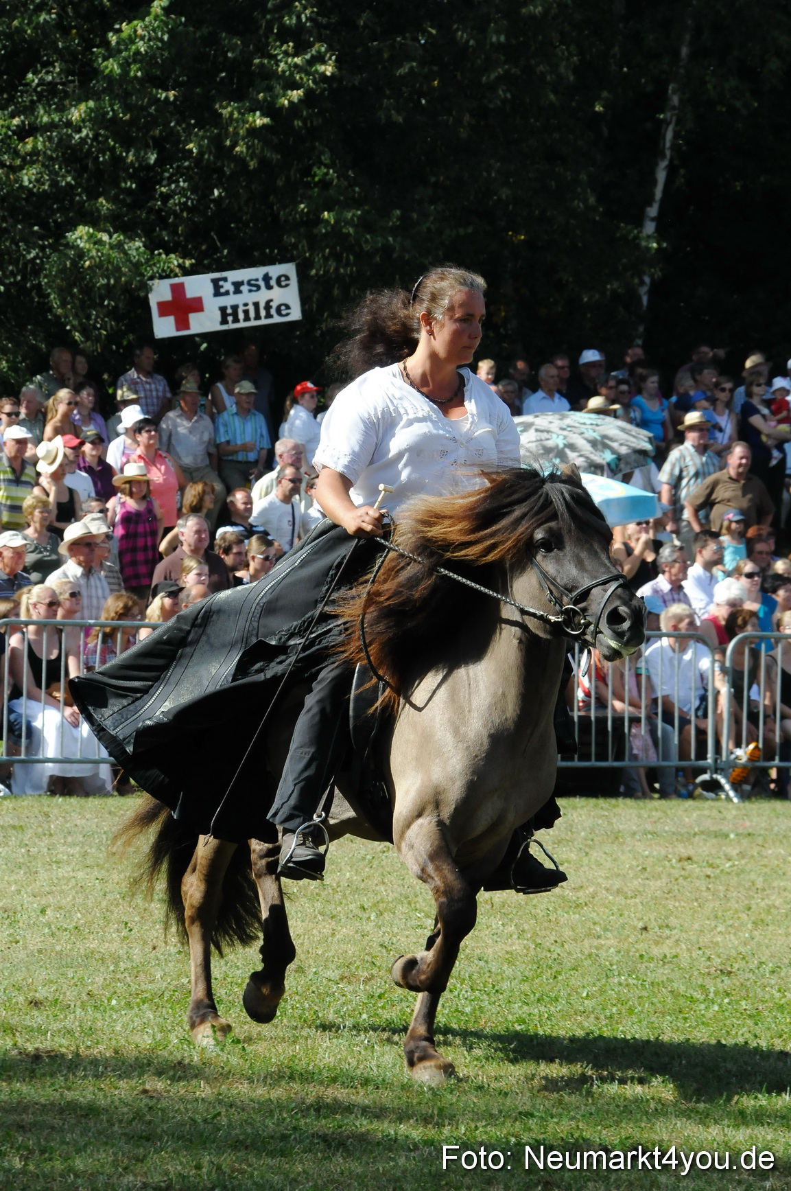 Pferde Fohlenschau 200812 0167