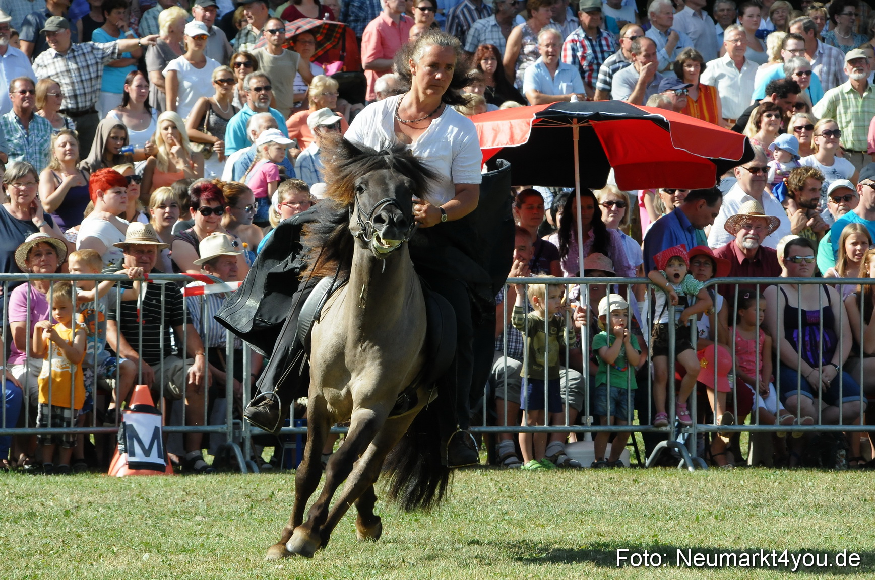 Pferde Fohlenschau 200812 0168