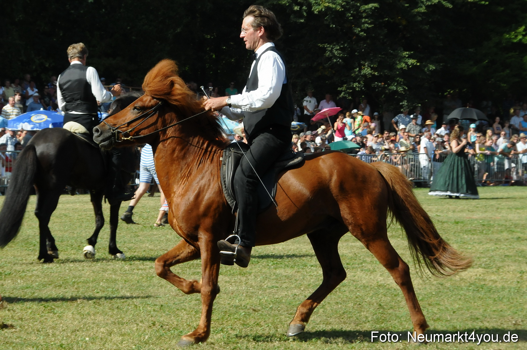 Pferde Fohlenschau 200812 0169