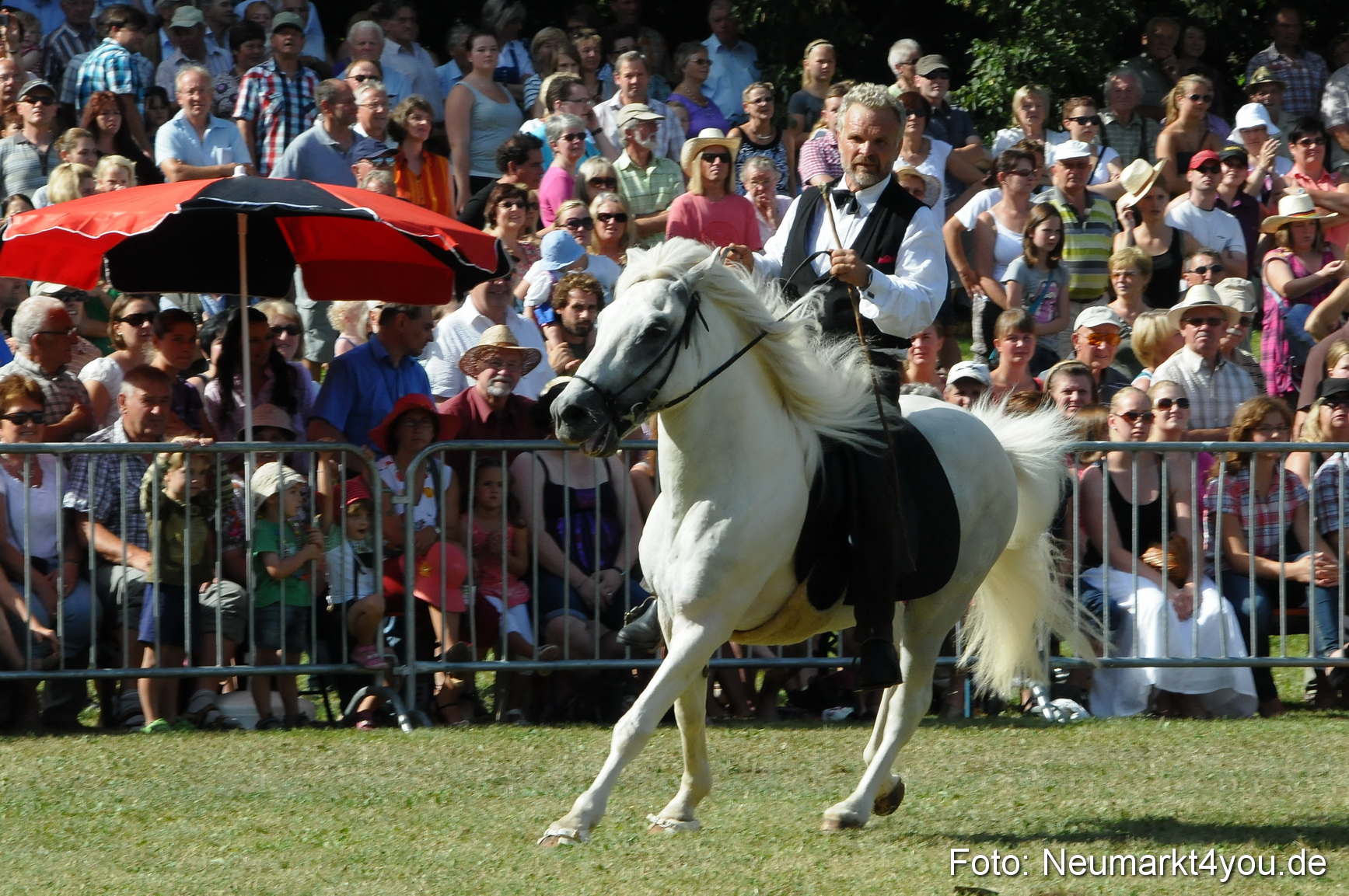 Pferde Fohlenschau 200812 0170