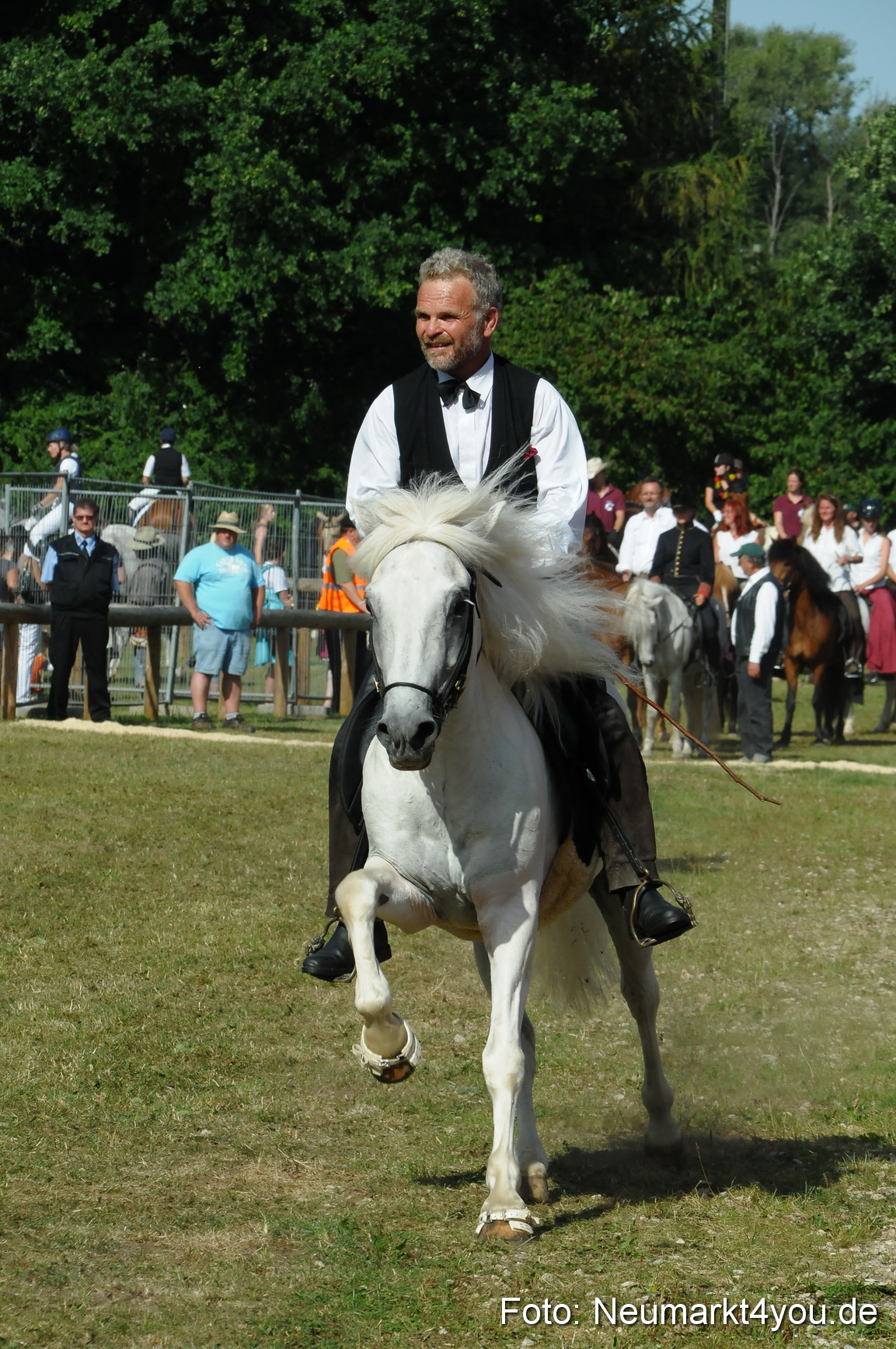 Pferde Fohlenschau 200812 0171